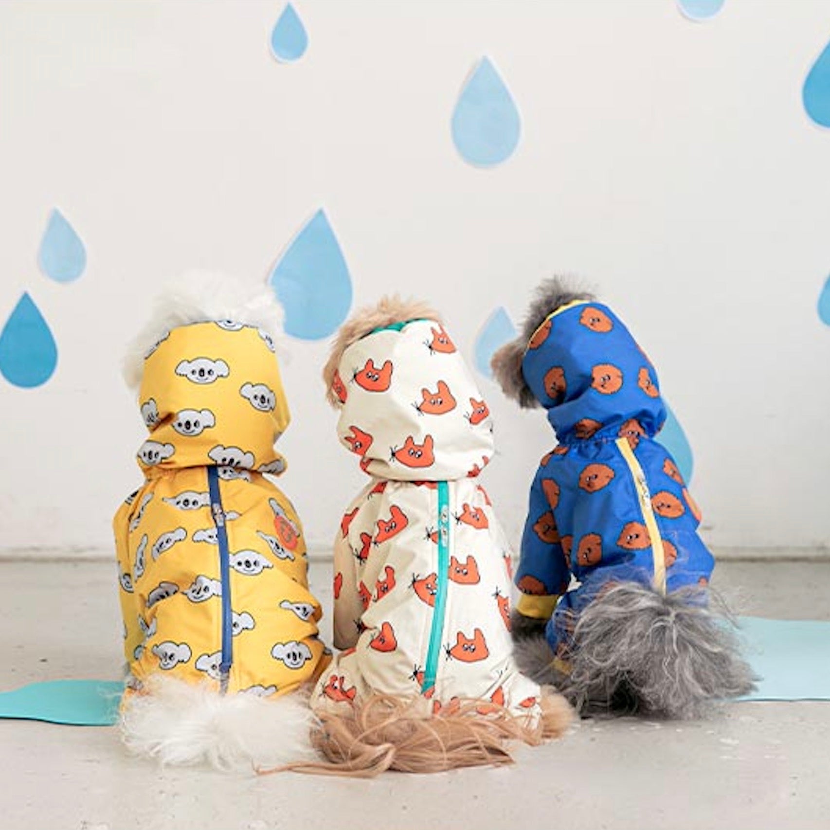 海外犬服 高品質なインポートのドッグウェア通販 