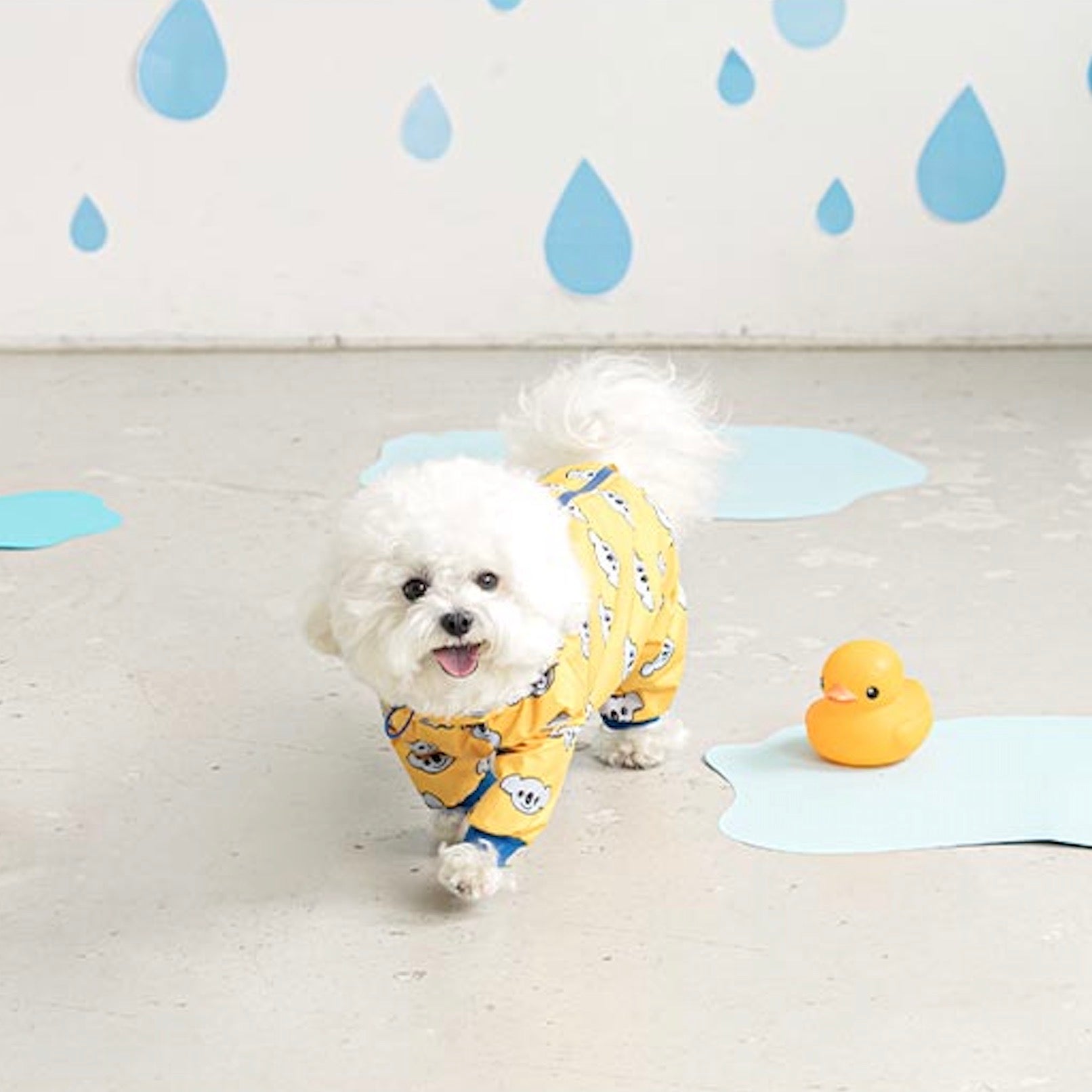 海外犬服 高品質なインポートのドッグウェア通販 