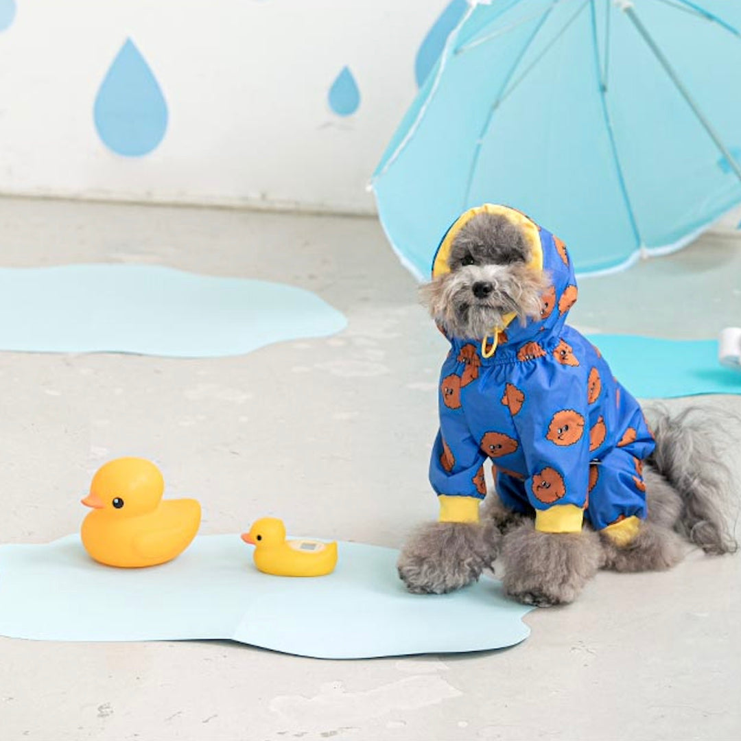 ※予約販売【BITE ME】All-In-One Rain Coat（Poodle）