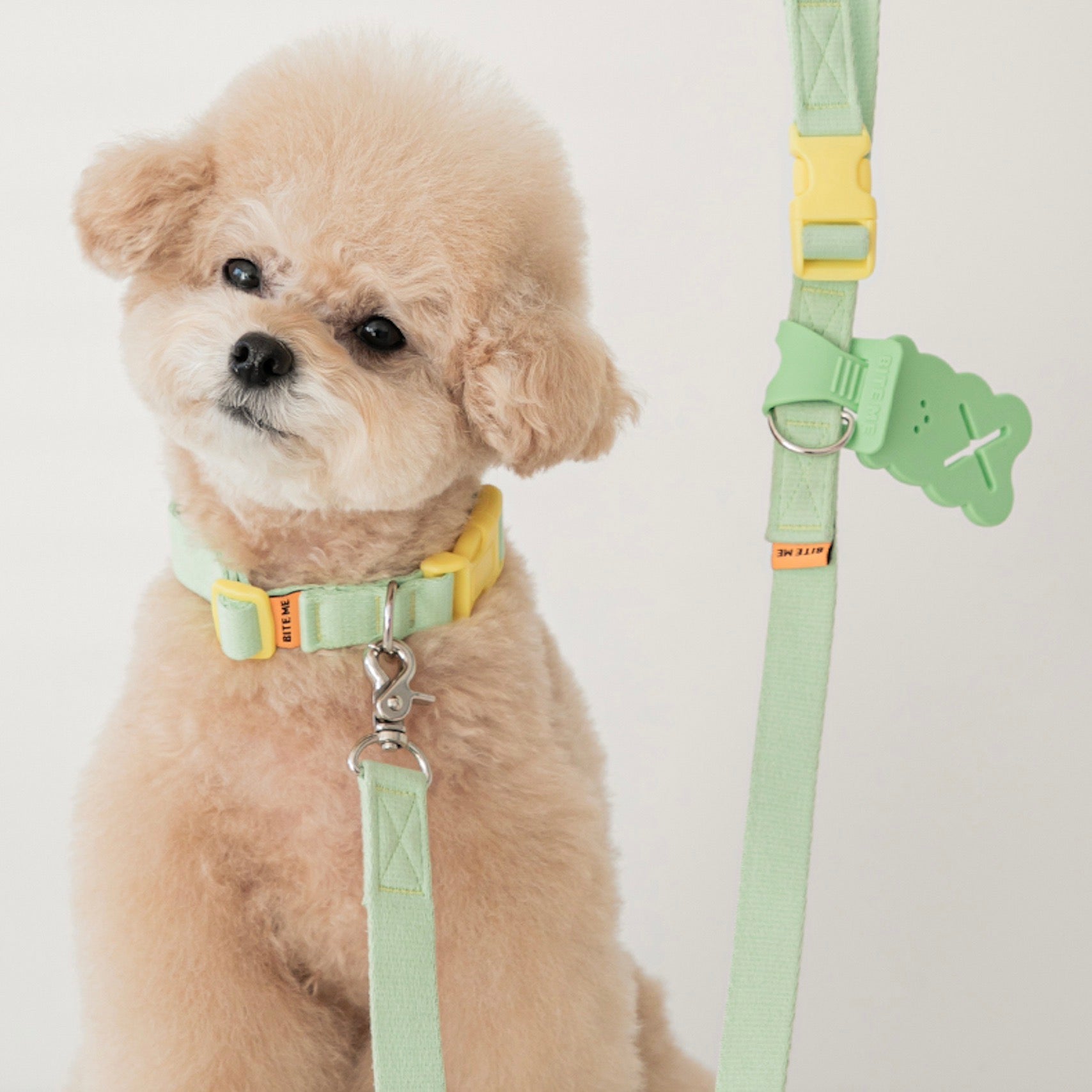 海外犬服 高品質なインポートのドッグウェア通販 