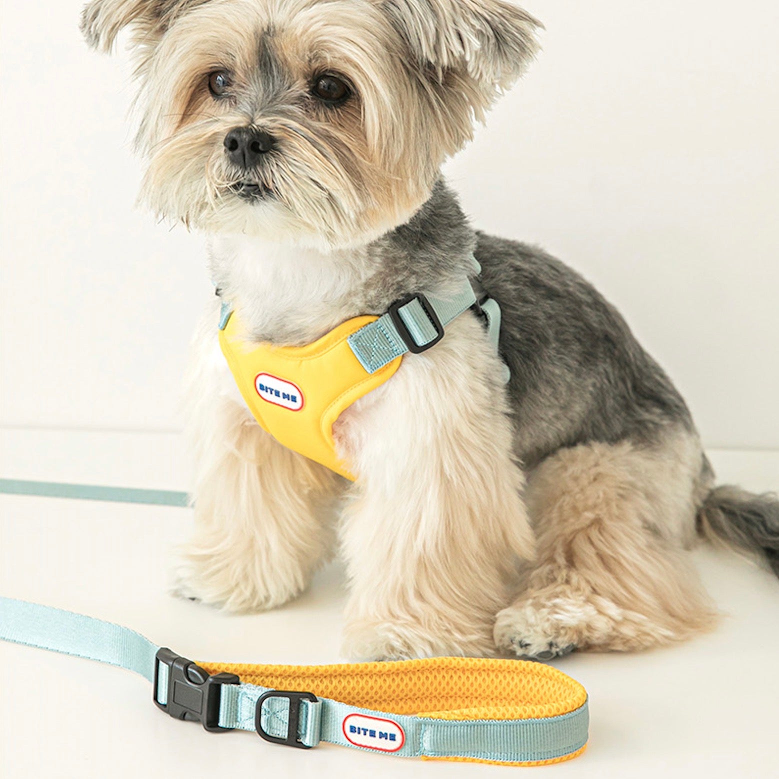 海外犬服 高品質なインポートのドッグウェア通販 