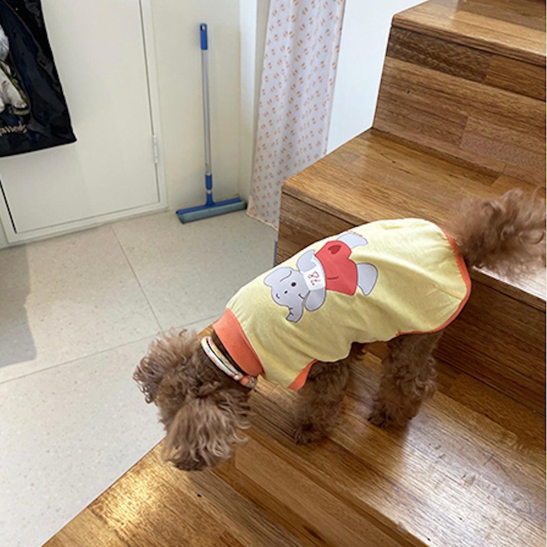 ※予約販売【OOPS! MY DOG】Summer Teddy T-shirt