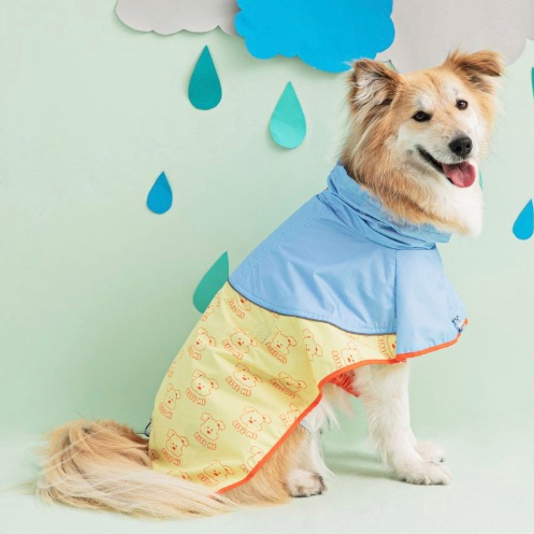 Buy a raincoat near on sale me