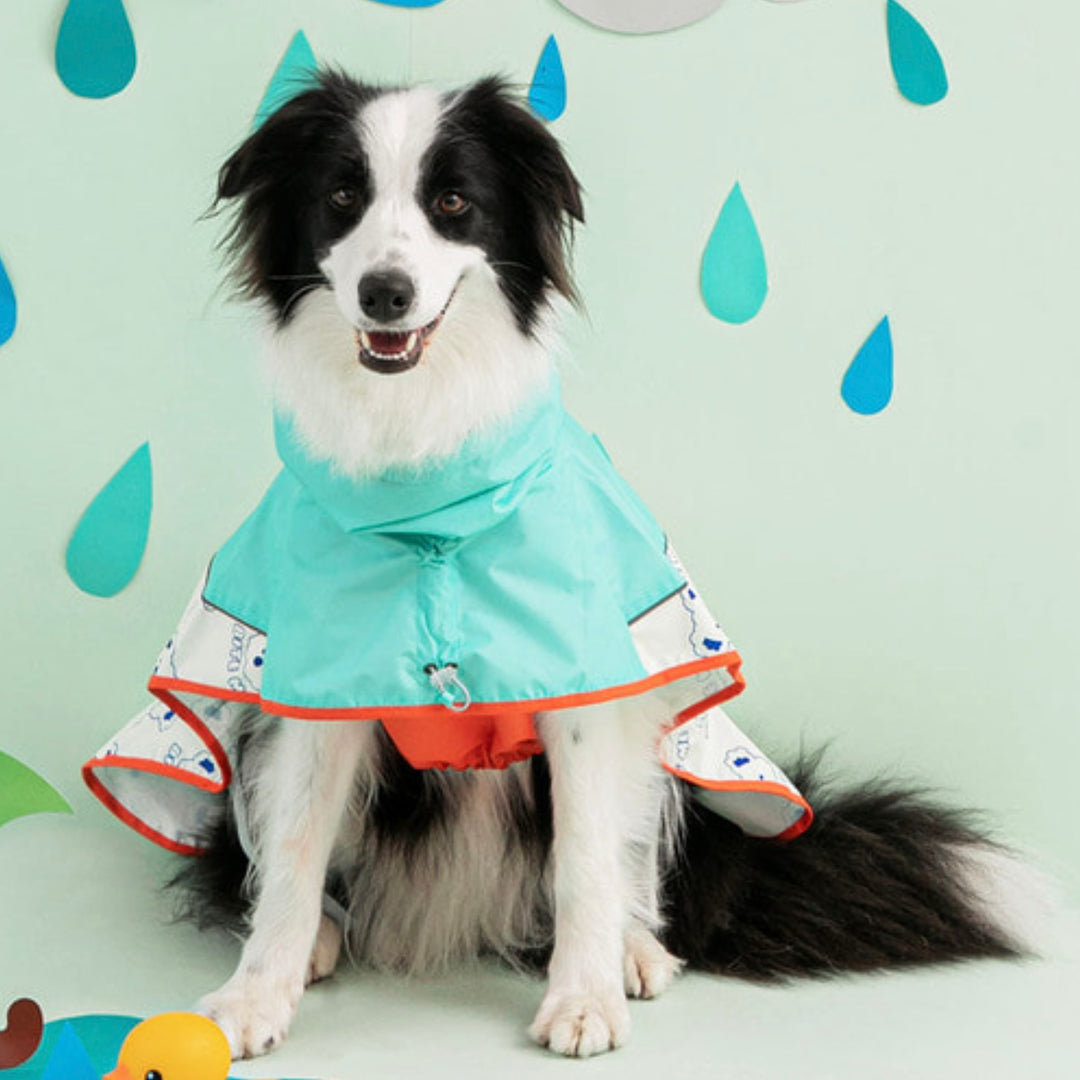 ※予約販売【BITE ME】New easy-peasy raincoat Large dog (Koala)