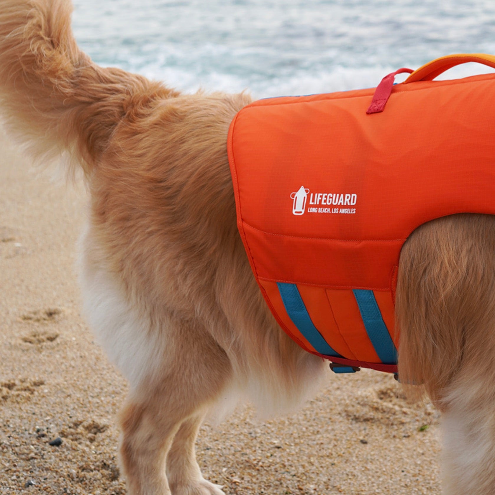 海外犬服高品質なインポートドッグウェア通販 