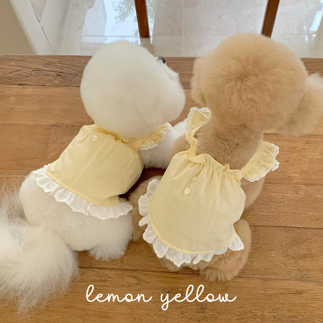 ※予約販売【near by us】Lace frill top (lemon yellow)