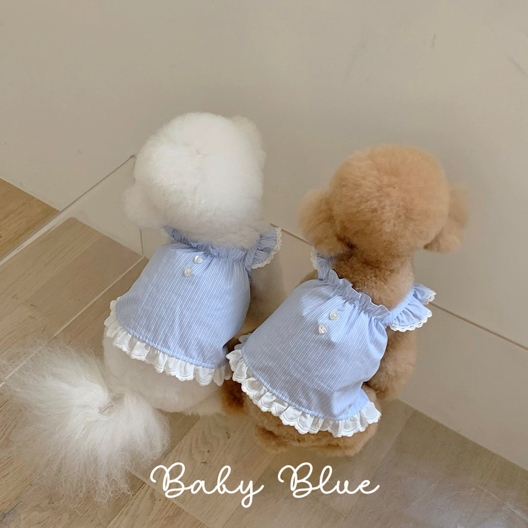 ※予約販売【near by us】Lace frill top (baby blue)