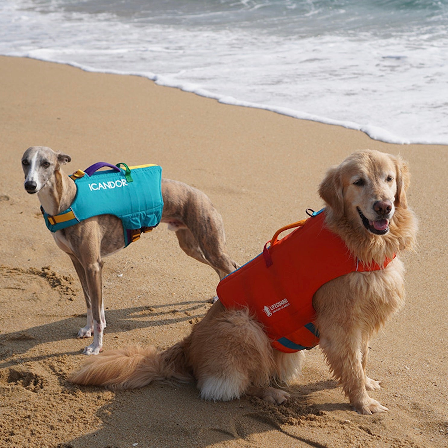 海外犬服高品質なインポートドッグウェア通販 