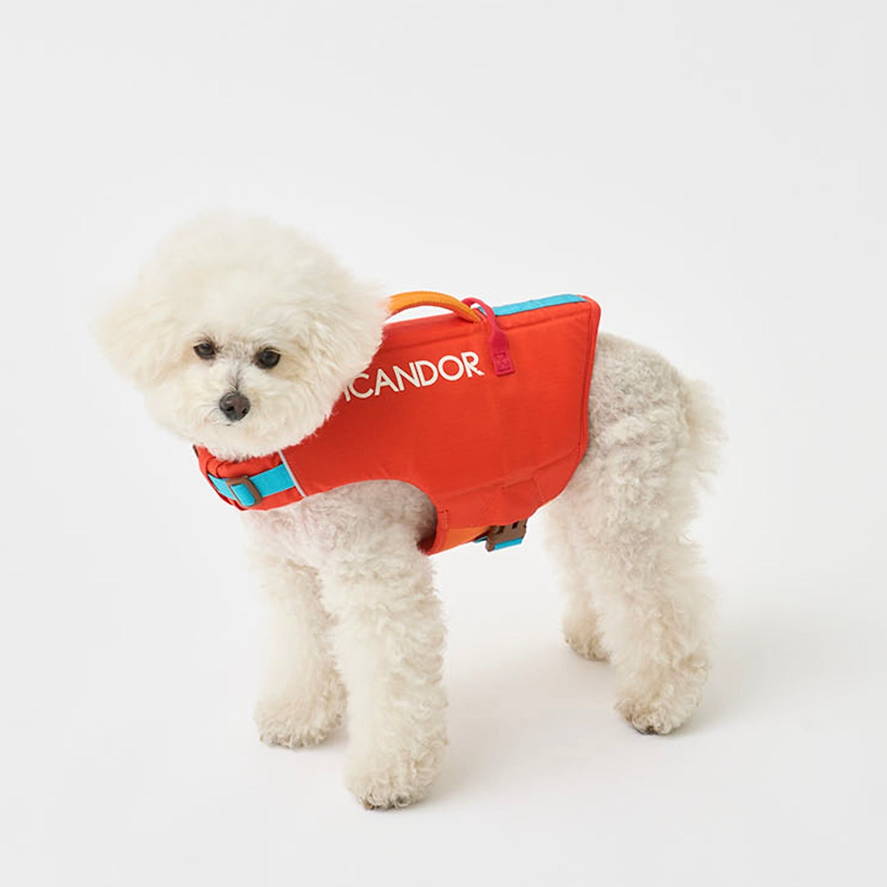 海外犬服高品質なインポートドッグウェア通販 