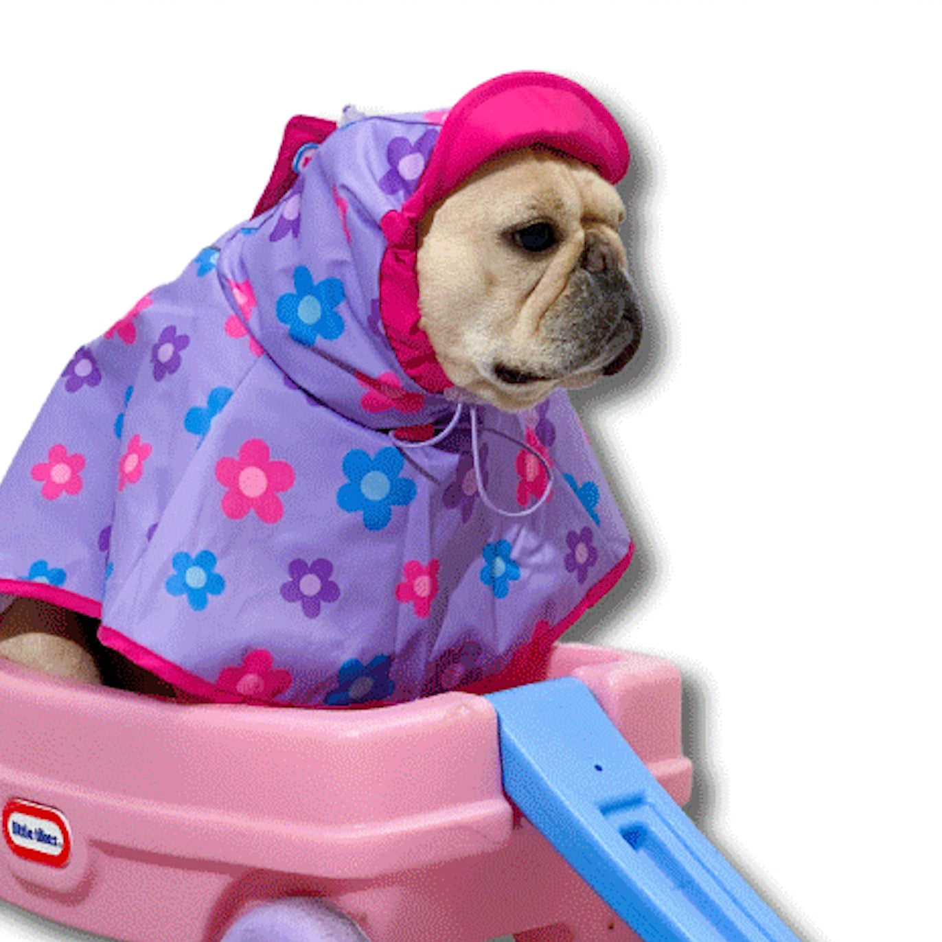 海外犬服 高品質なインポートのドッグウェア通販 