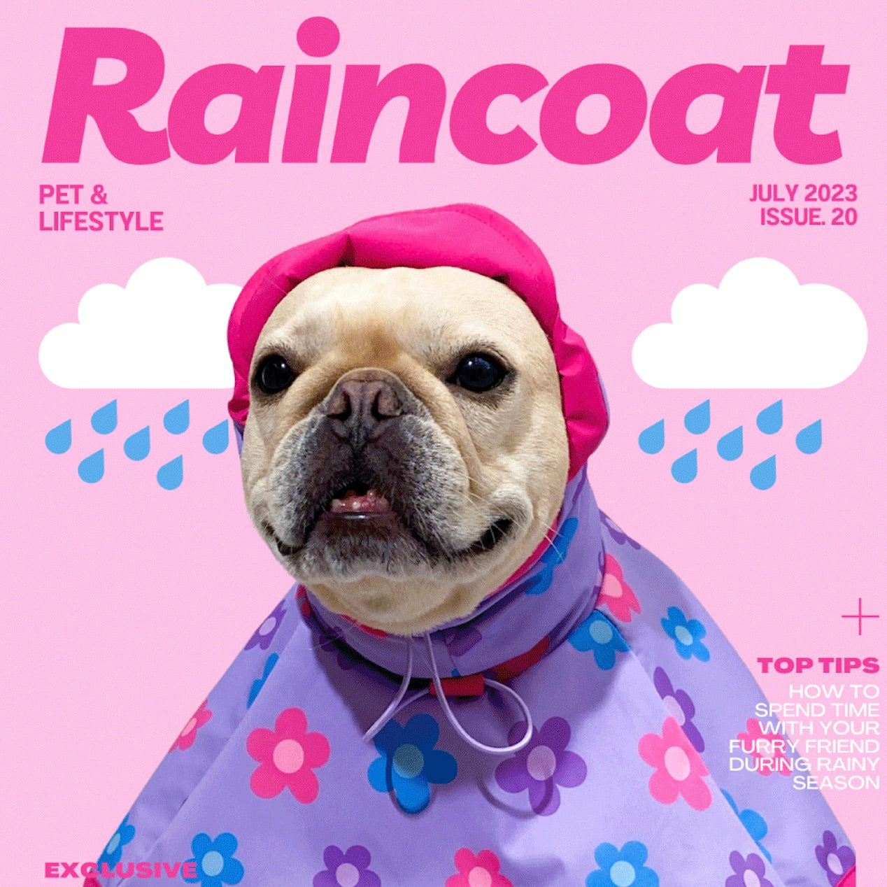 海外犬服 高品質なインポートのドッグウェア通販 