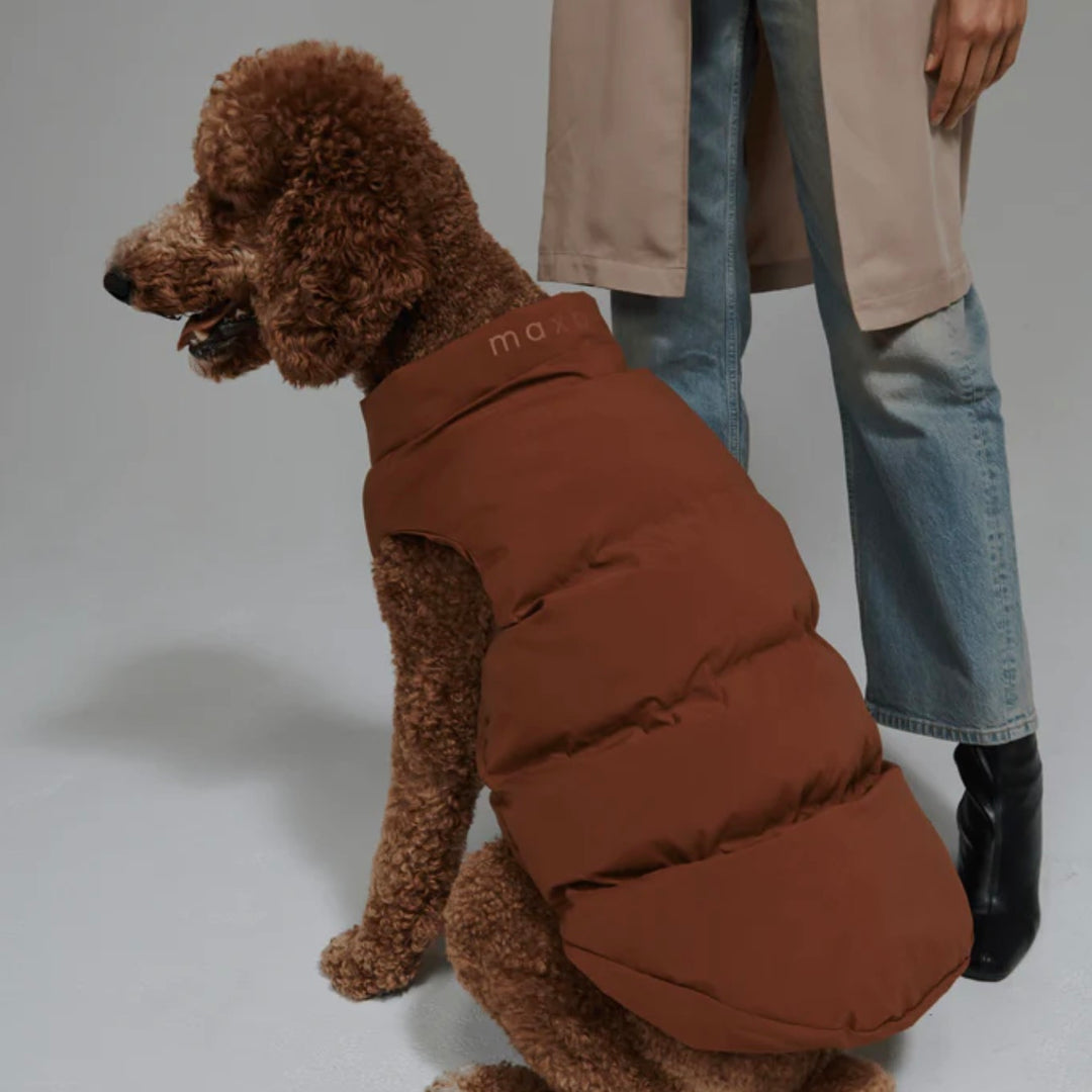 ※予約販売【max bone】Arabella Puffer Vest（Brown）