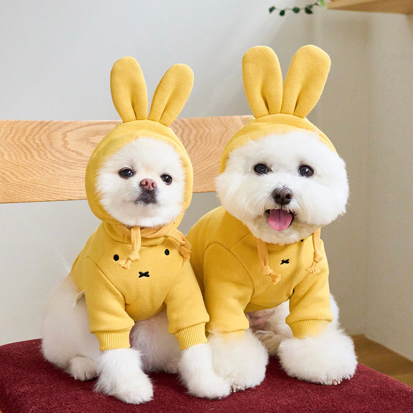 犬服ハンドメイド♡ミィモ♡ 海外犬服 高品質なインポートのドッグウェア通販 