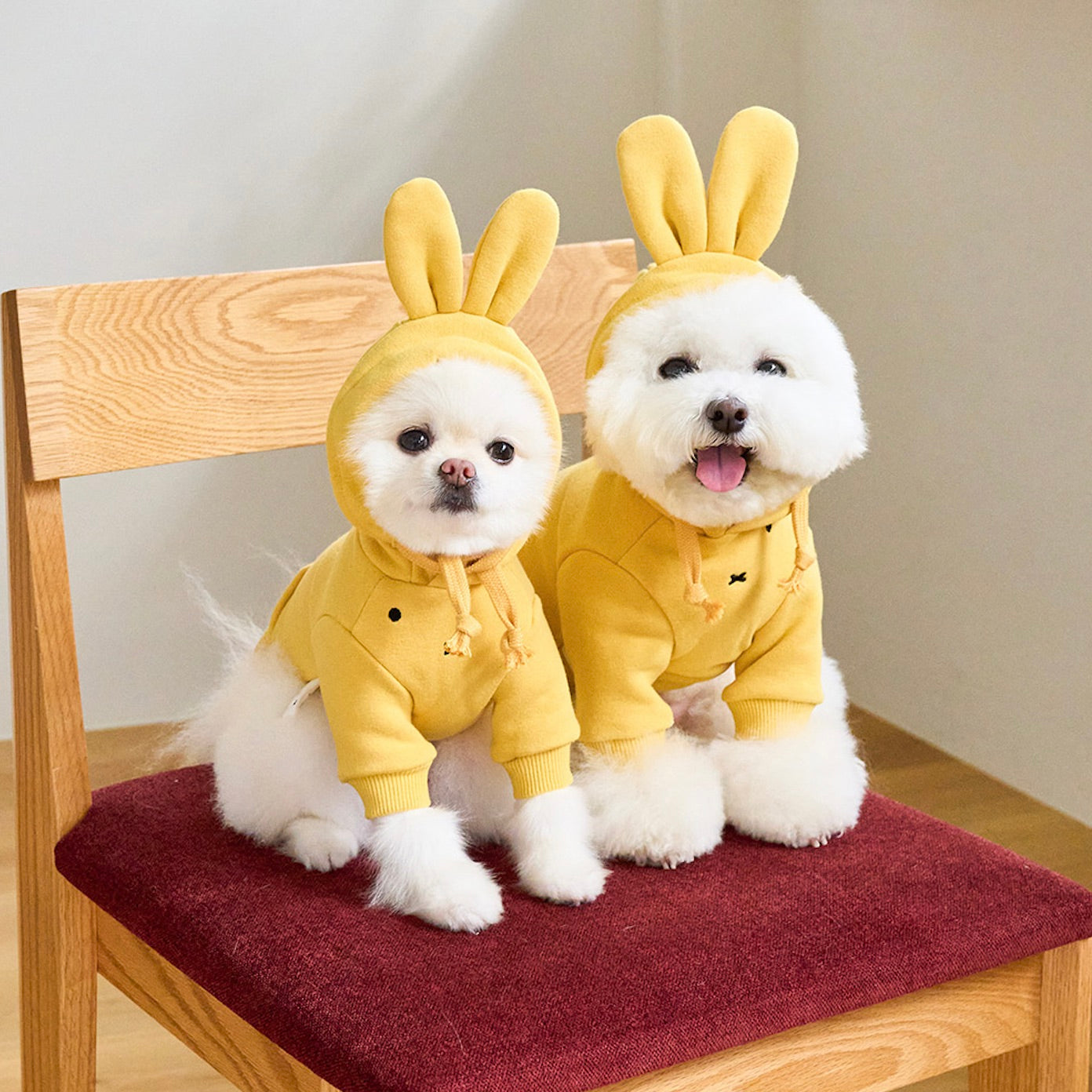 海外犬服 高品質なインポートのドッグウェア通販 