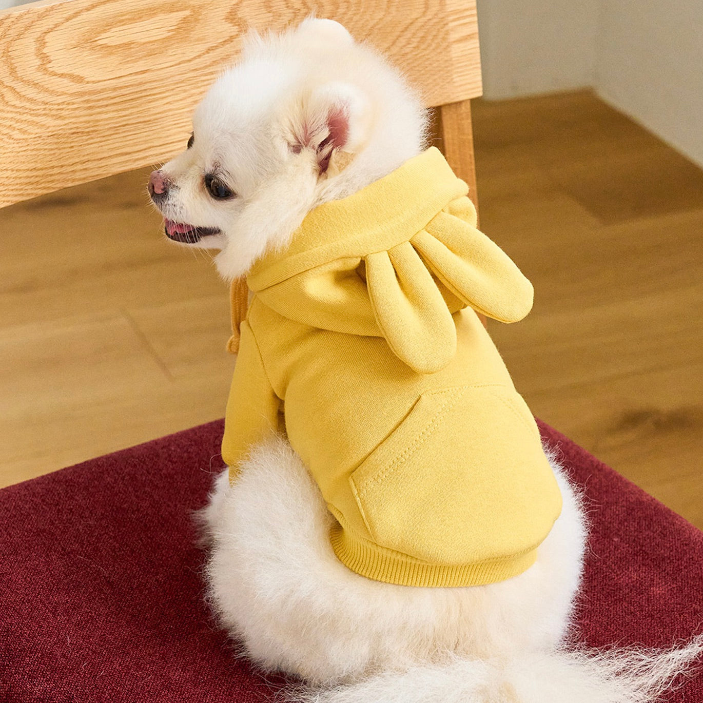 犬服ハンドメイド♡ミィモ♡ 海外犬服 高品質なインポートのドッグウェア通販 