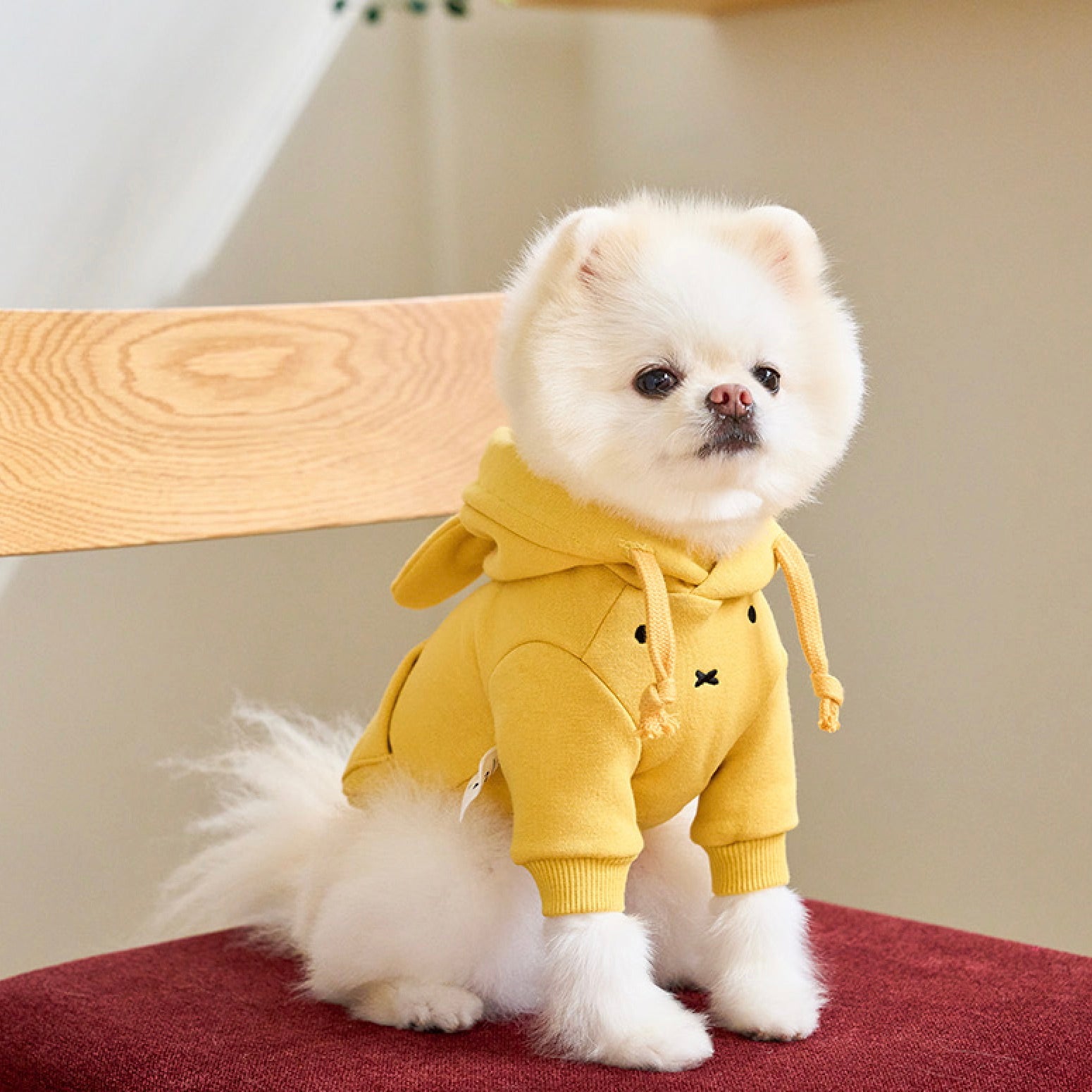 海外犬服 高品質なインポートのドッグウェア通販 