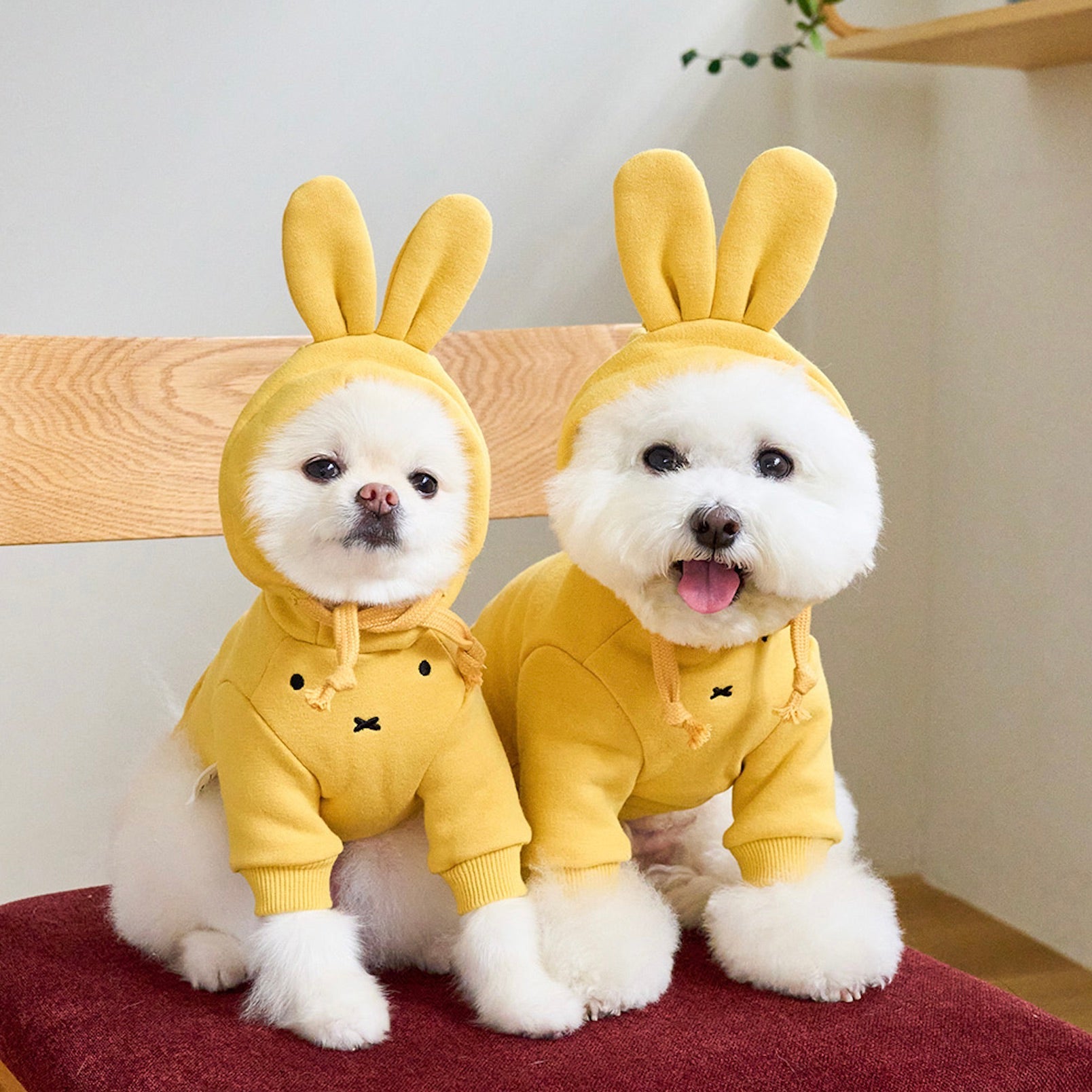 犬服ハンドメイド♡ミィモカチューシャ♪ 海外犬服 高品質なインポートのドッグウェア通販 