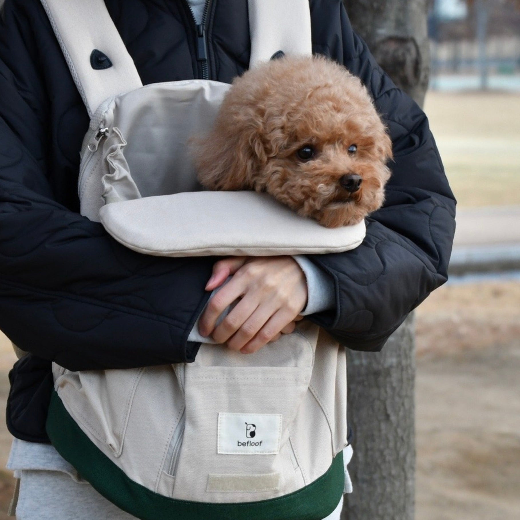 海外犬服 高品質なインポートのドッグウェア通販 