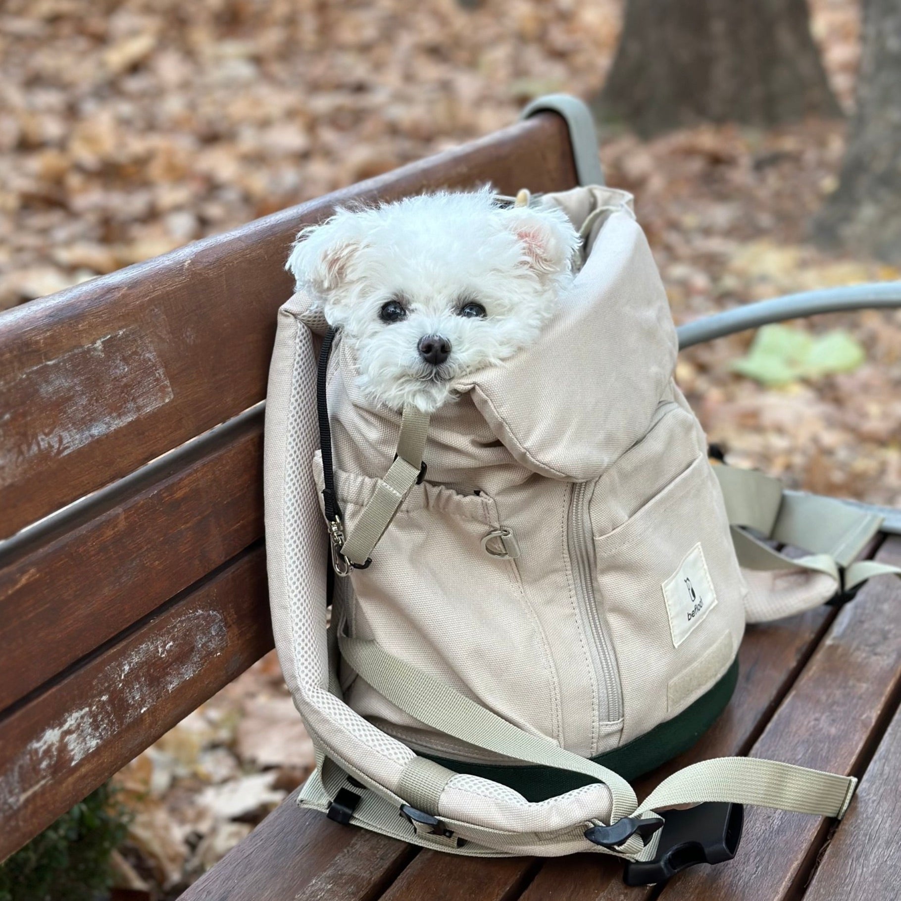 海外犬服 高品質なインポートのドッグウェア通販 