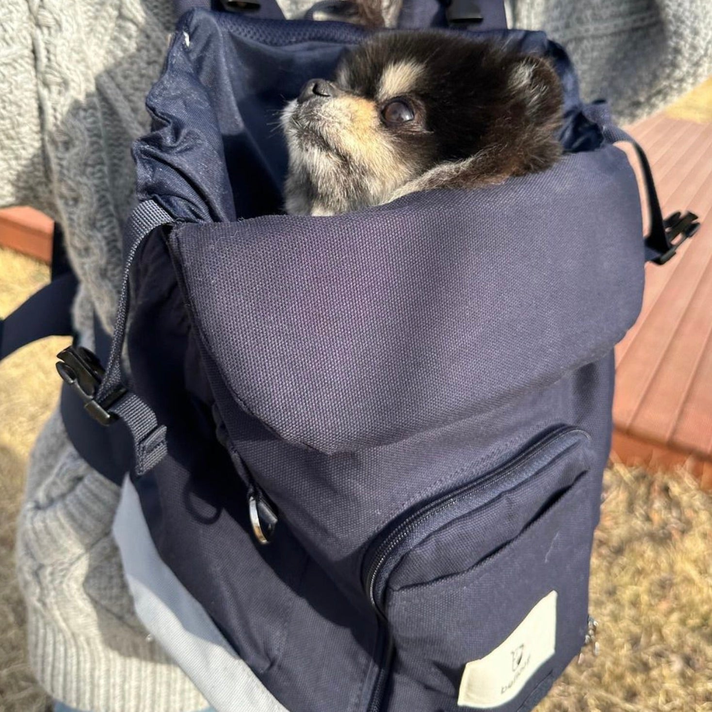海外犬服 高品質なインポートのドッグウェア通販 