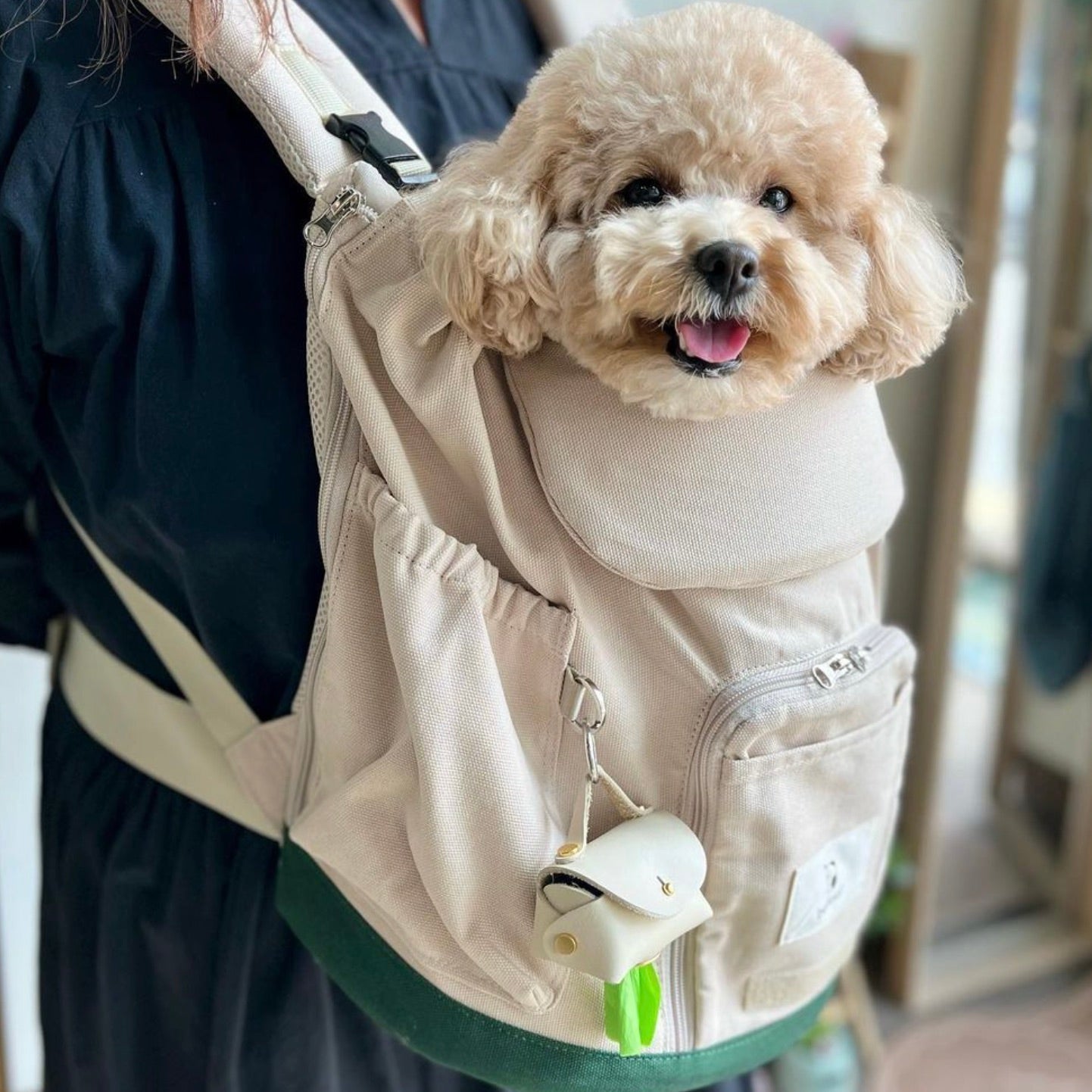 海外犬服 高品質なインポートのドッグウェア通販 