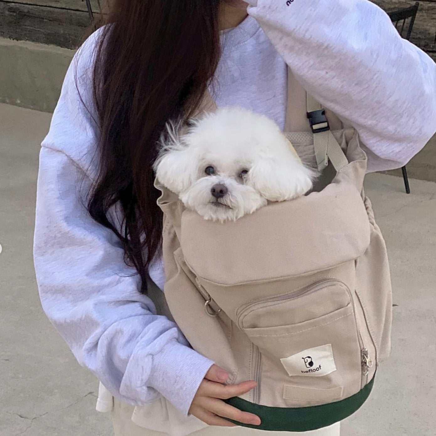 値下げしました！【befloof】 Forebag (Ivory）フロントバッグ 海外犬服 高品質なインポートのドッグウェア通販 