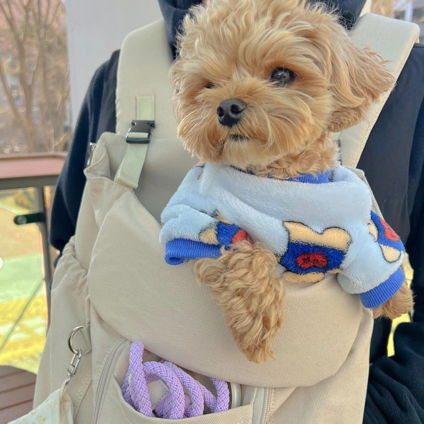 海外犬服 高品質なインポートのドッグウェア通販 