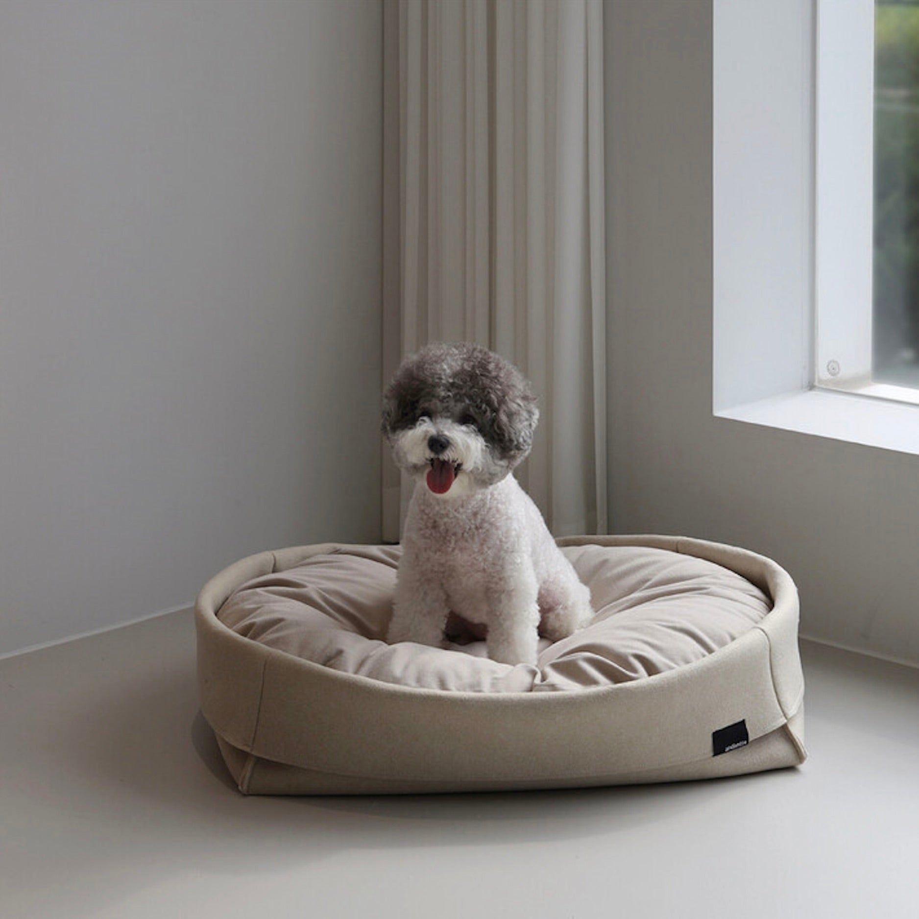 Andantte（アンダンテ） – URBAN DOG TOKYO