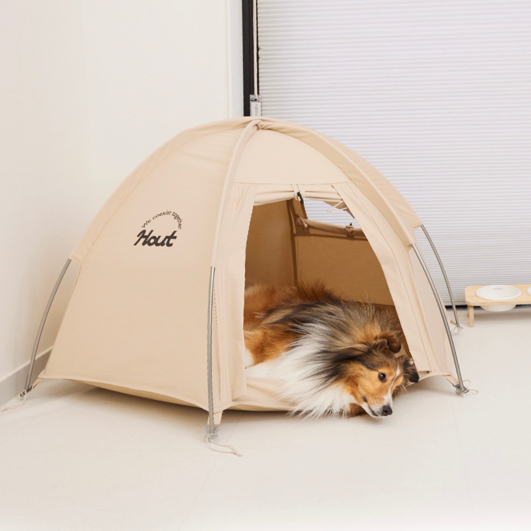 新品未使用【TOOF】韓国犬服 2025 新作 夏服 中型犬 2024-02-1116.12.26_1024x1024.