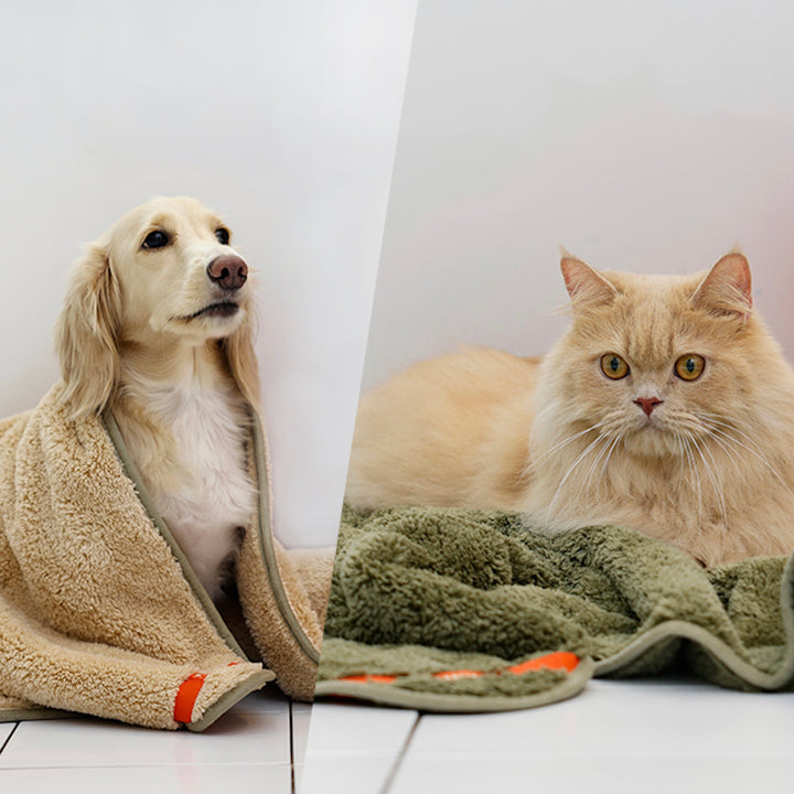 ※予約販売【HOUT】Cozy Pet Towel
