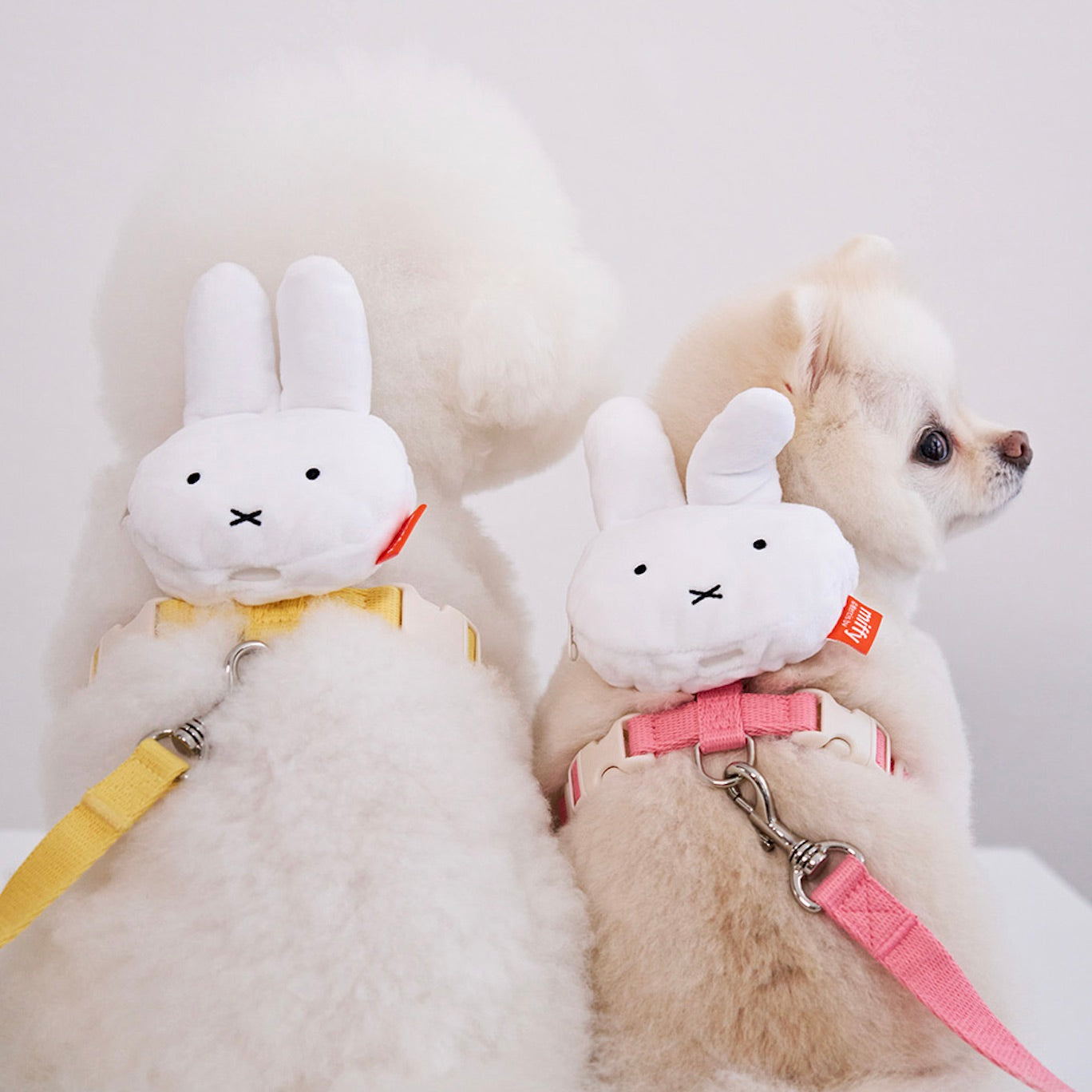 ※予約販売【noutti】Miffy Poop Bag Harness