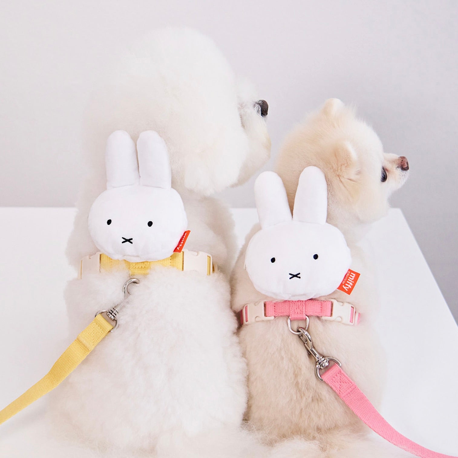 ※予約販売【noutti】Miffy Poop Bag Harness