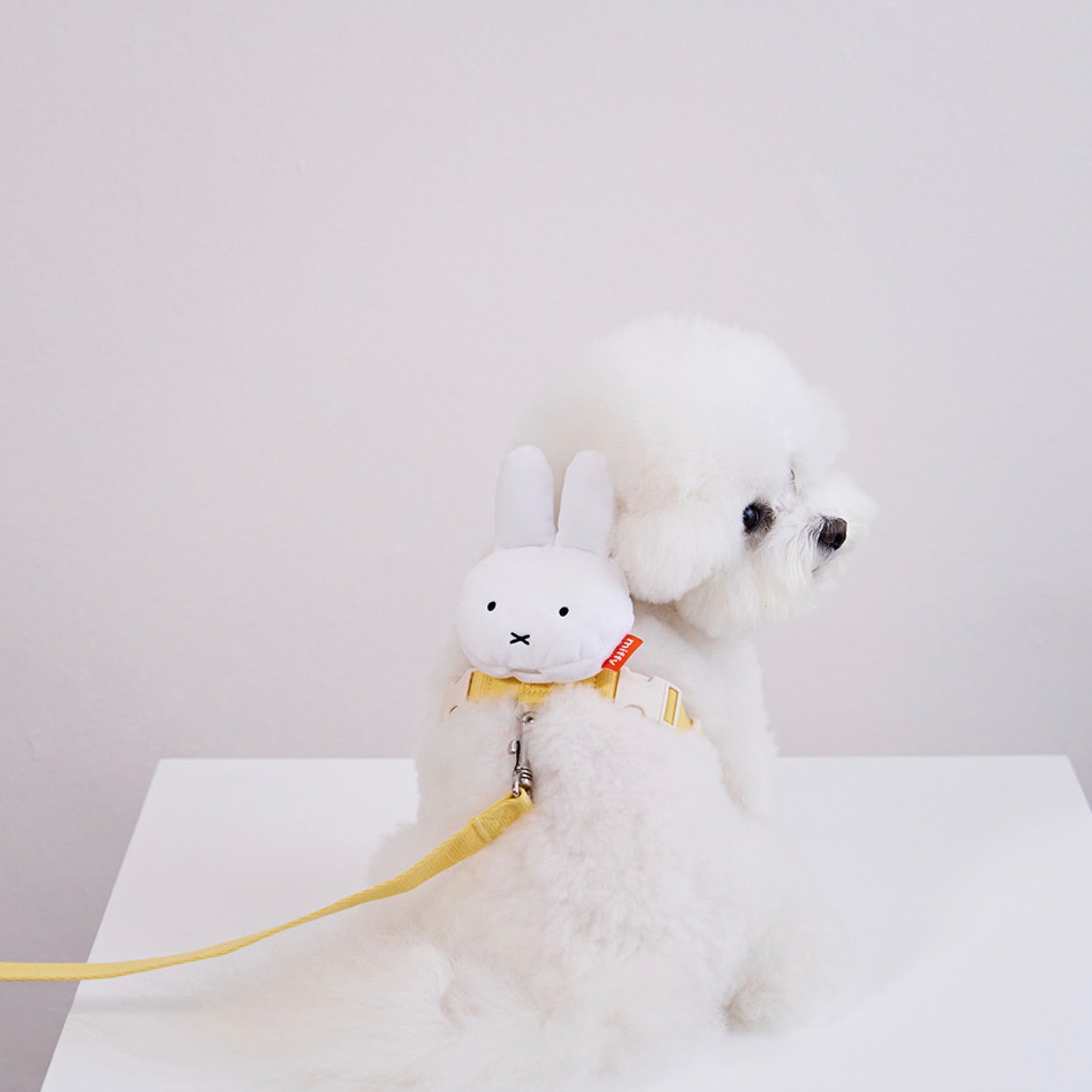 ※予約販売【noutti】Miffy Poop Bag Harness