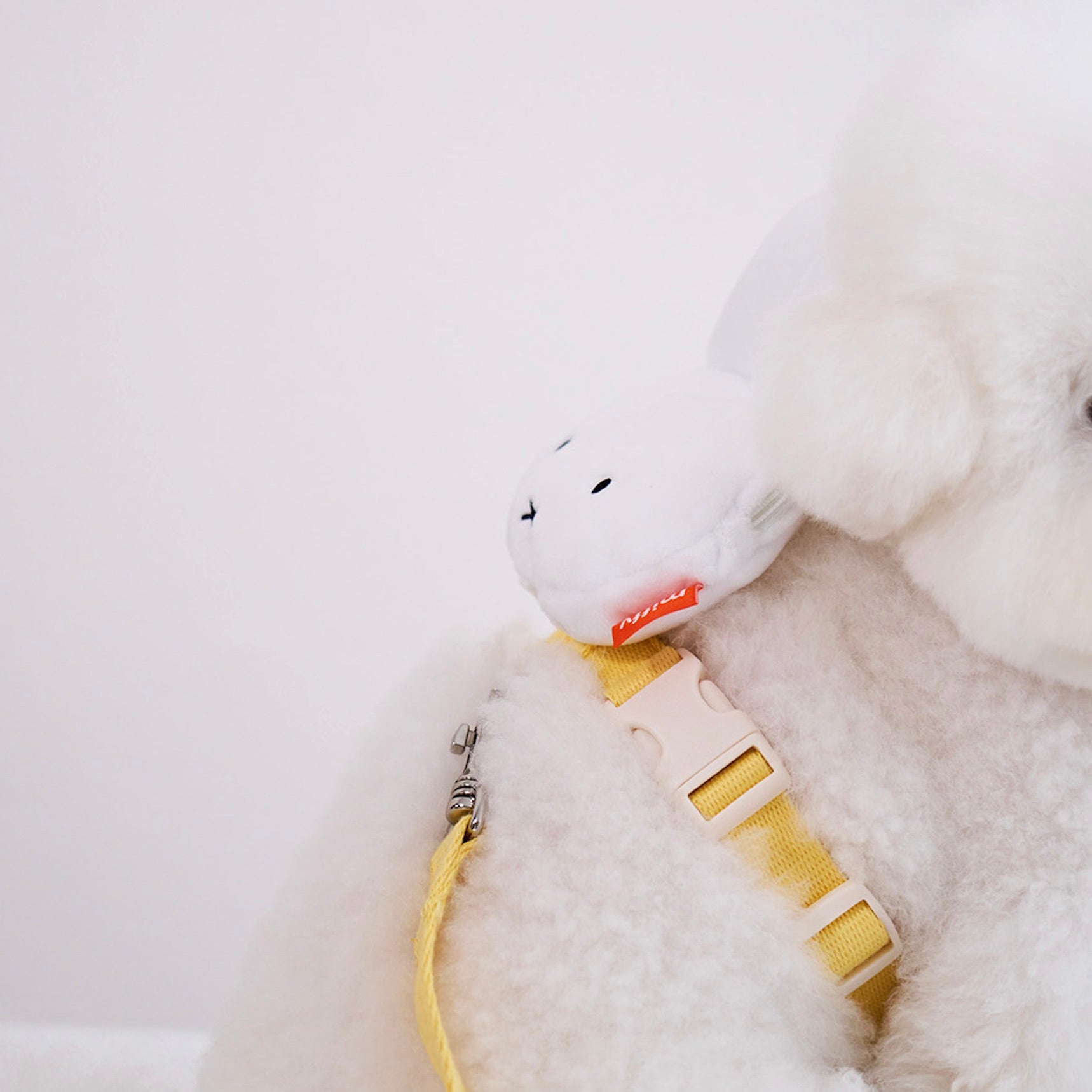 海外犬服 高品質なインポートのドッグウェア通販 