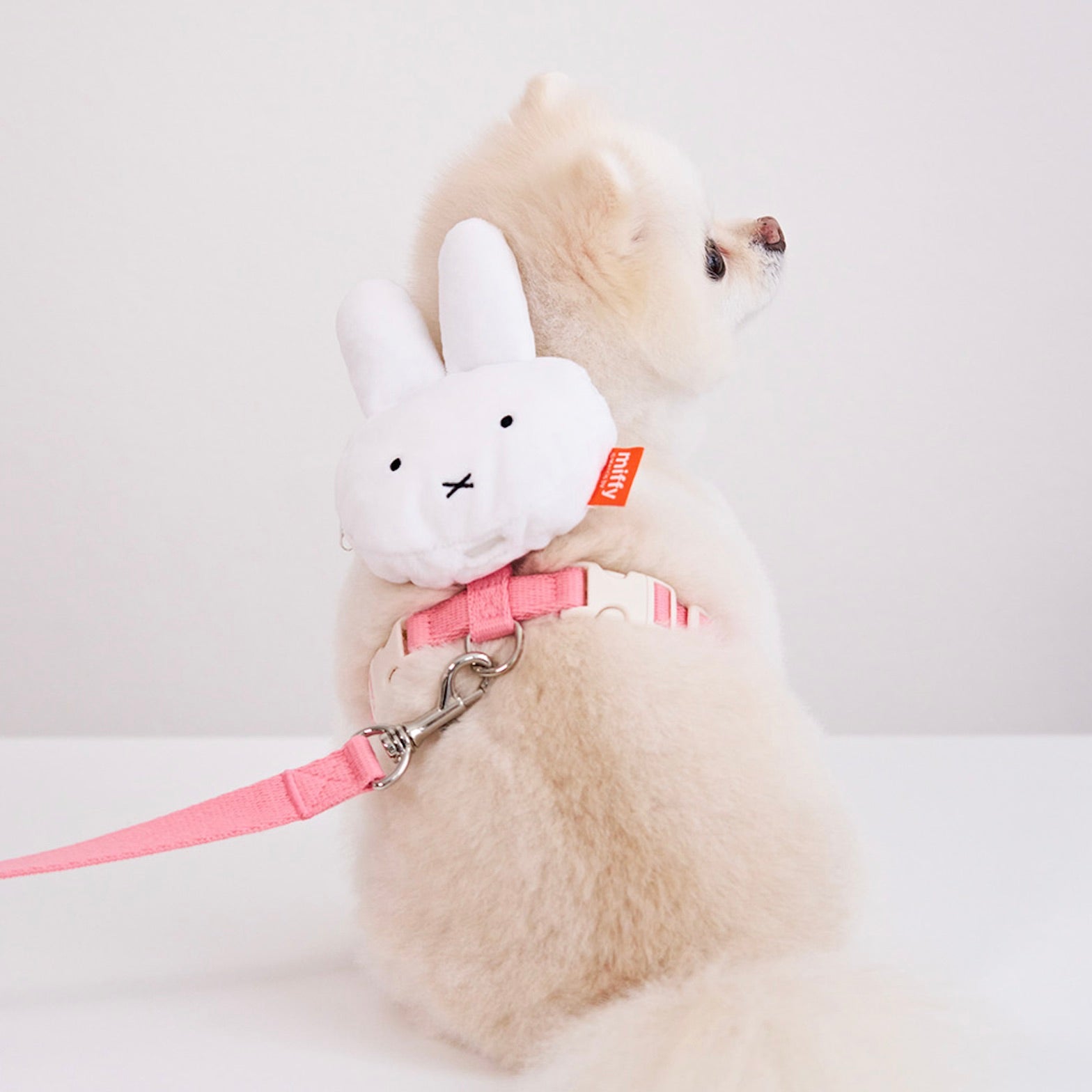 ※予約販売【noutti】Miffy Poop Bag Harness