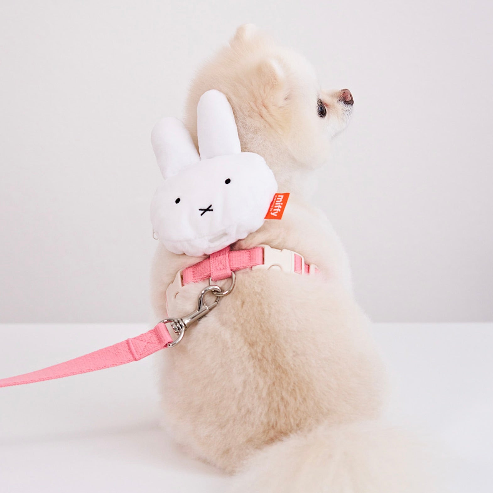 ※予約販売【noutti】Miffy Poop Bag Harness