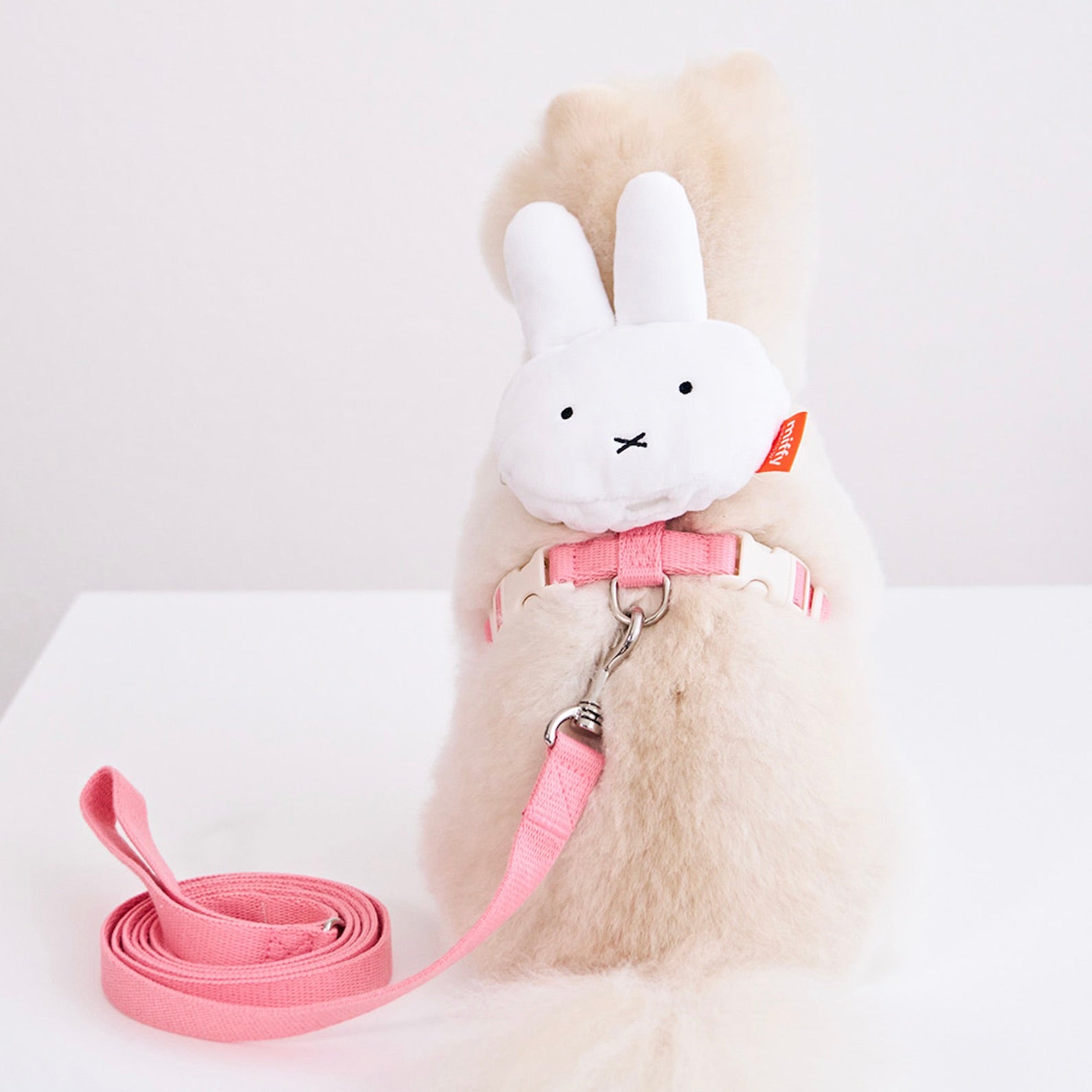 海外犬服 高品質なインポートのドッグウェア通販 