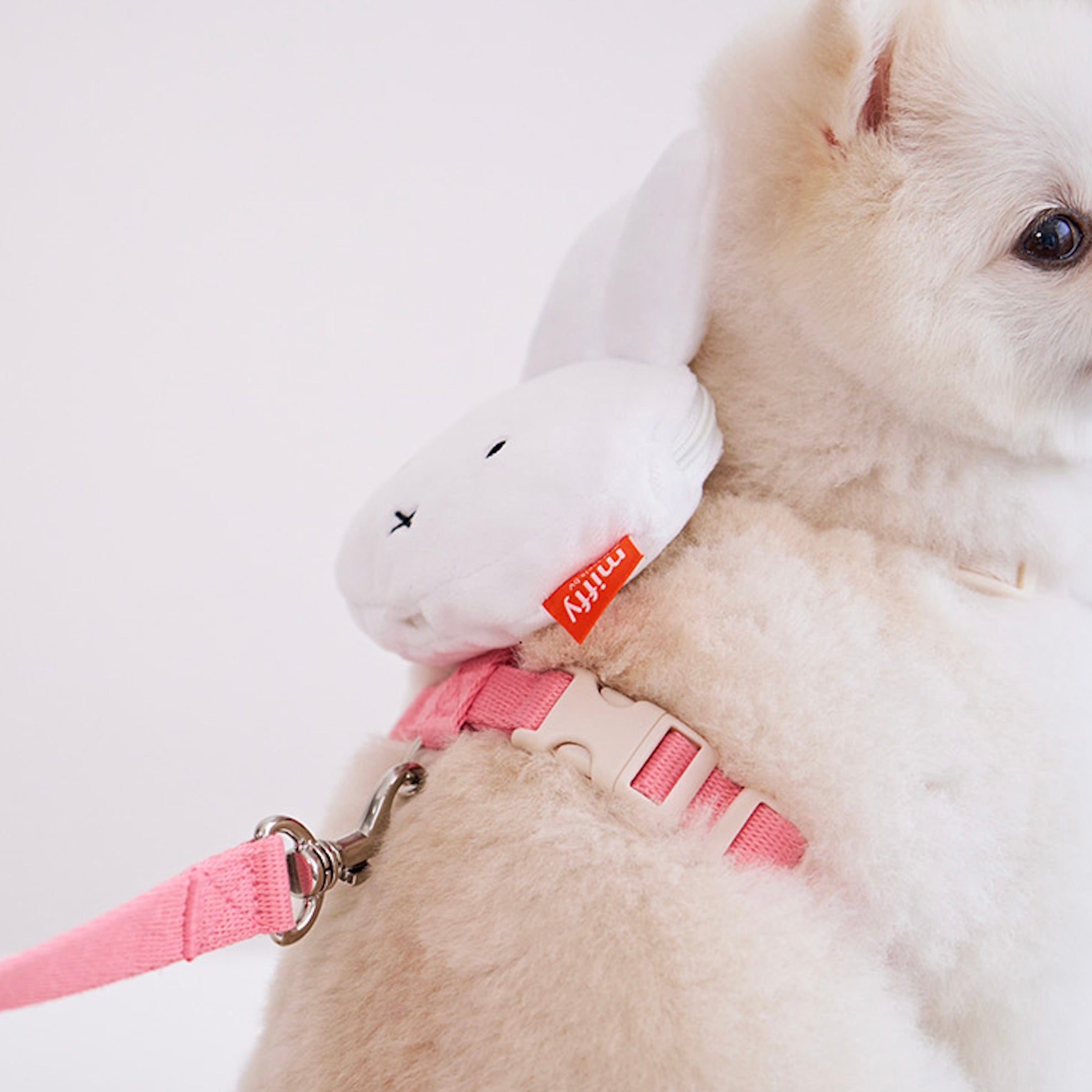 ※予約販売【noutti】Miffy Poop Bag Harness