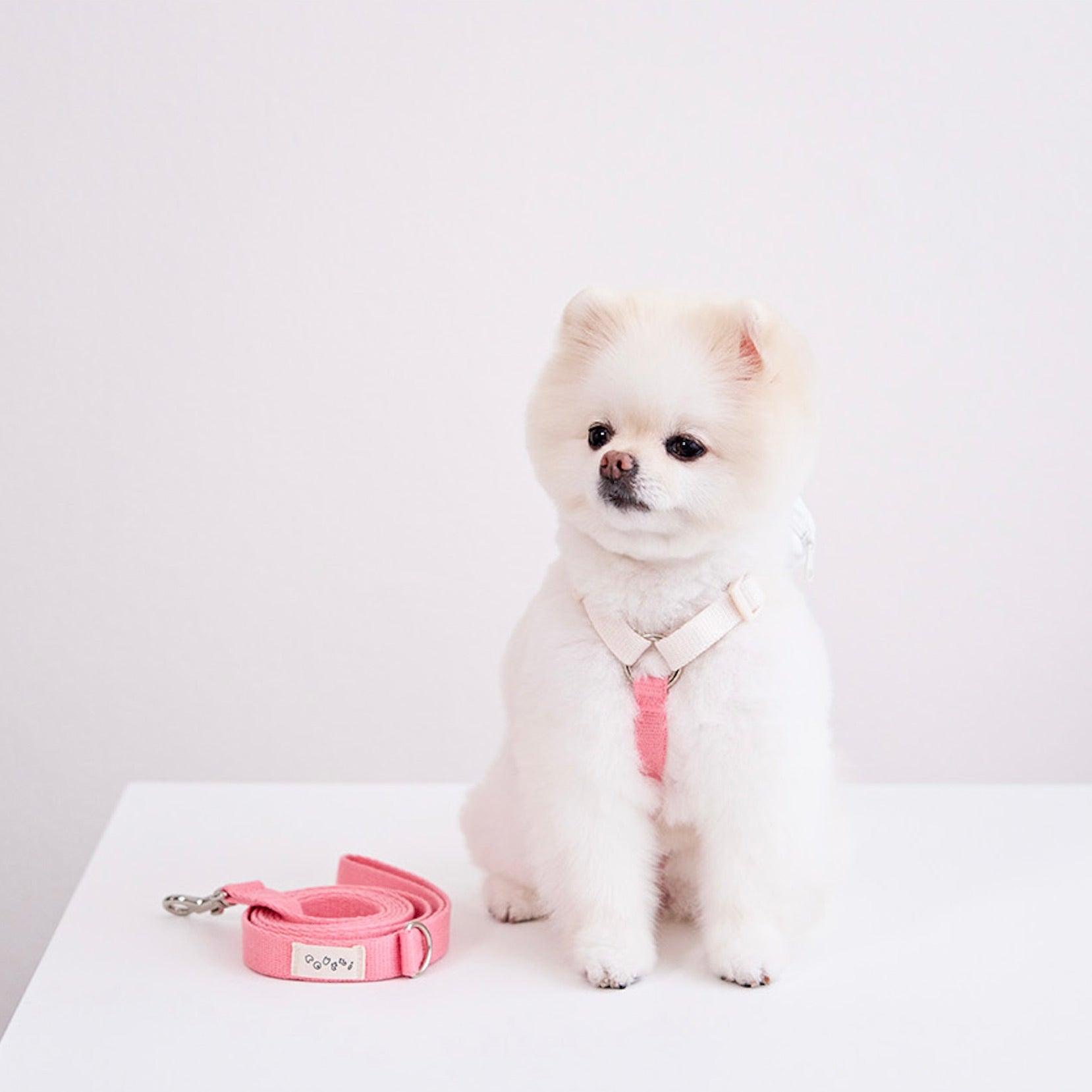 海外犬服 高品質なインポートのドッグウェア通販 