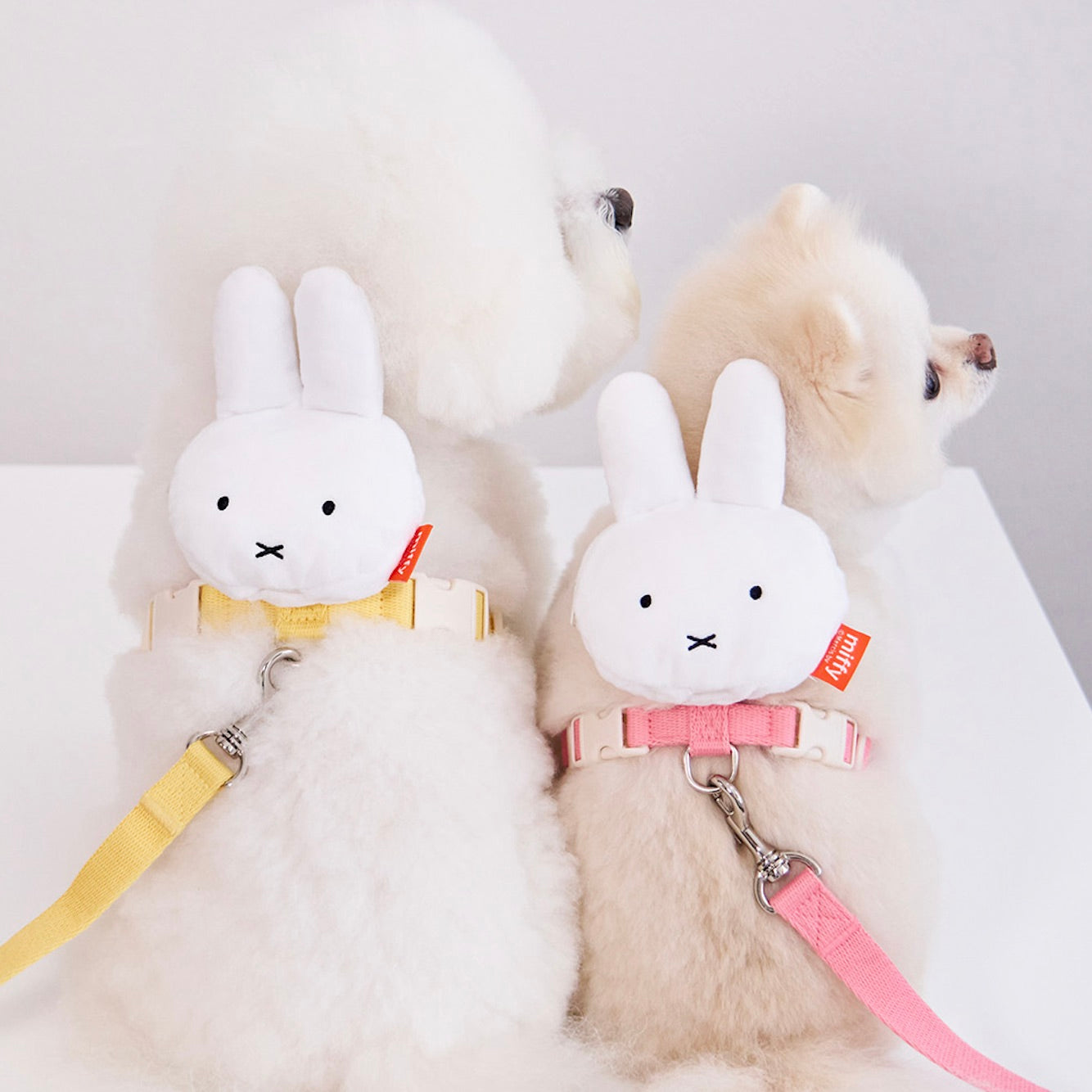 ※予約販売【noutti】Miffy Poop Bag Harness