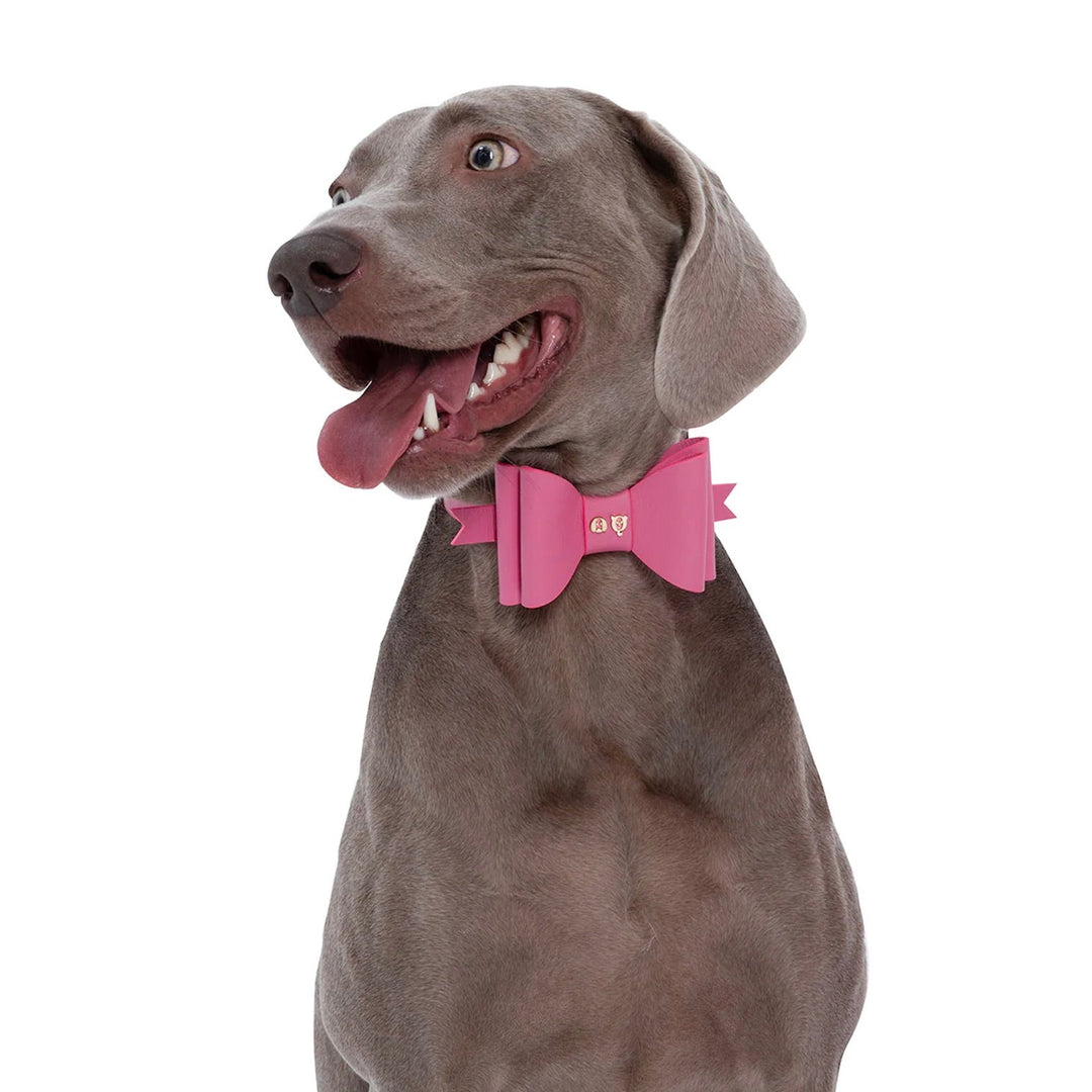 即納【MOSHIQA】Paris Collection Metapink Bow Dog Collar