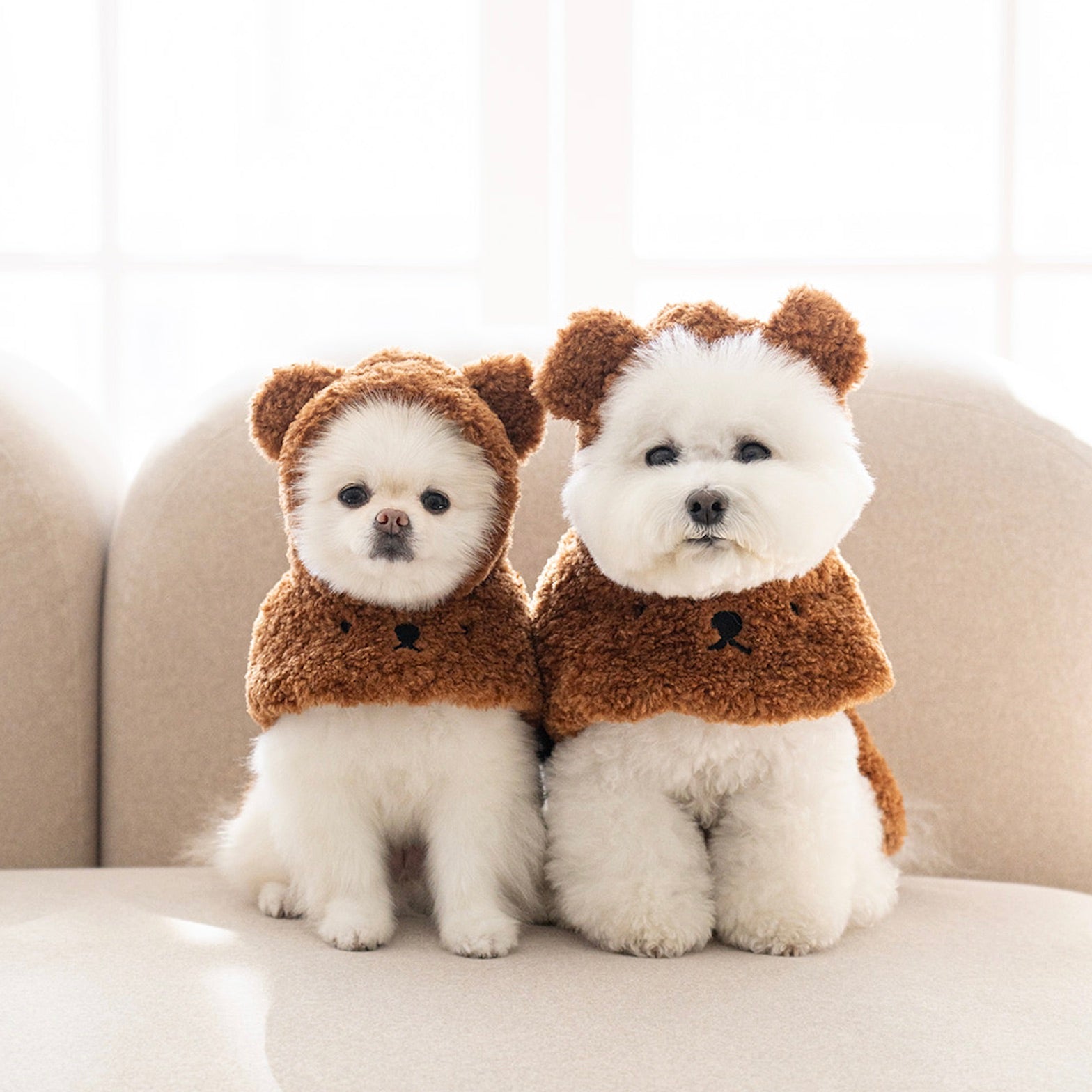 海外犬服 高品質なインポートのドッグウェア通販 