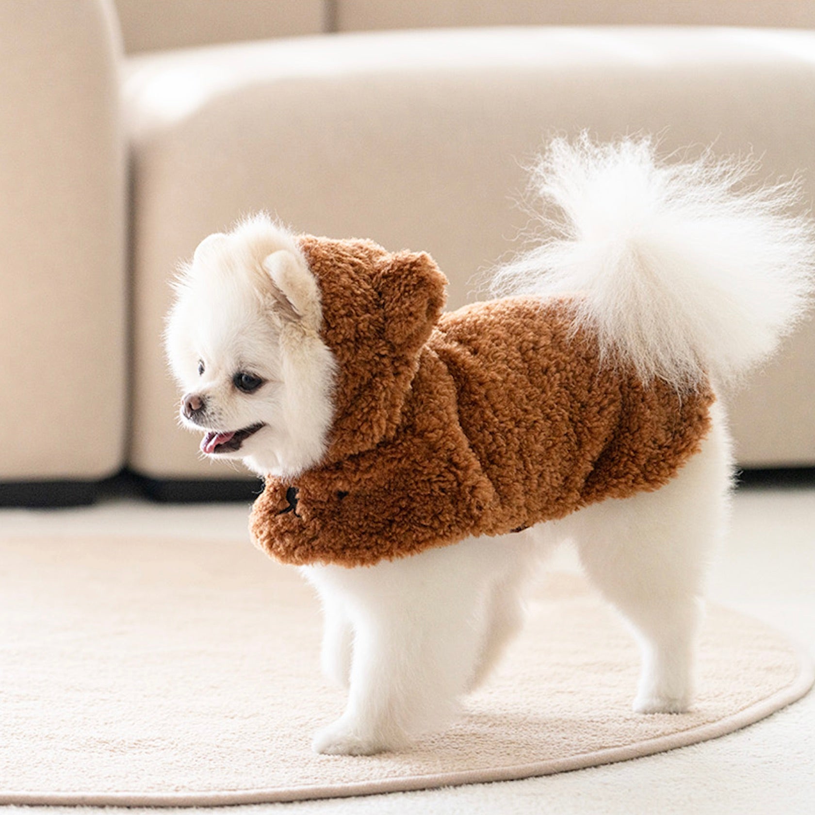 海外犬服 高品質なインポートのドッグウェア通販 