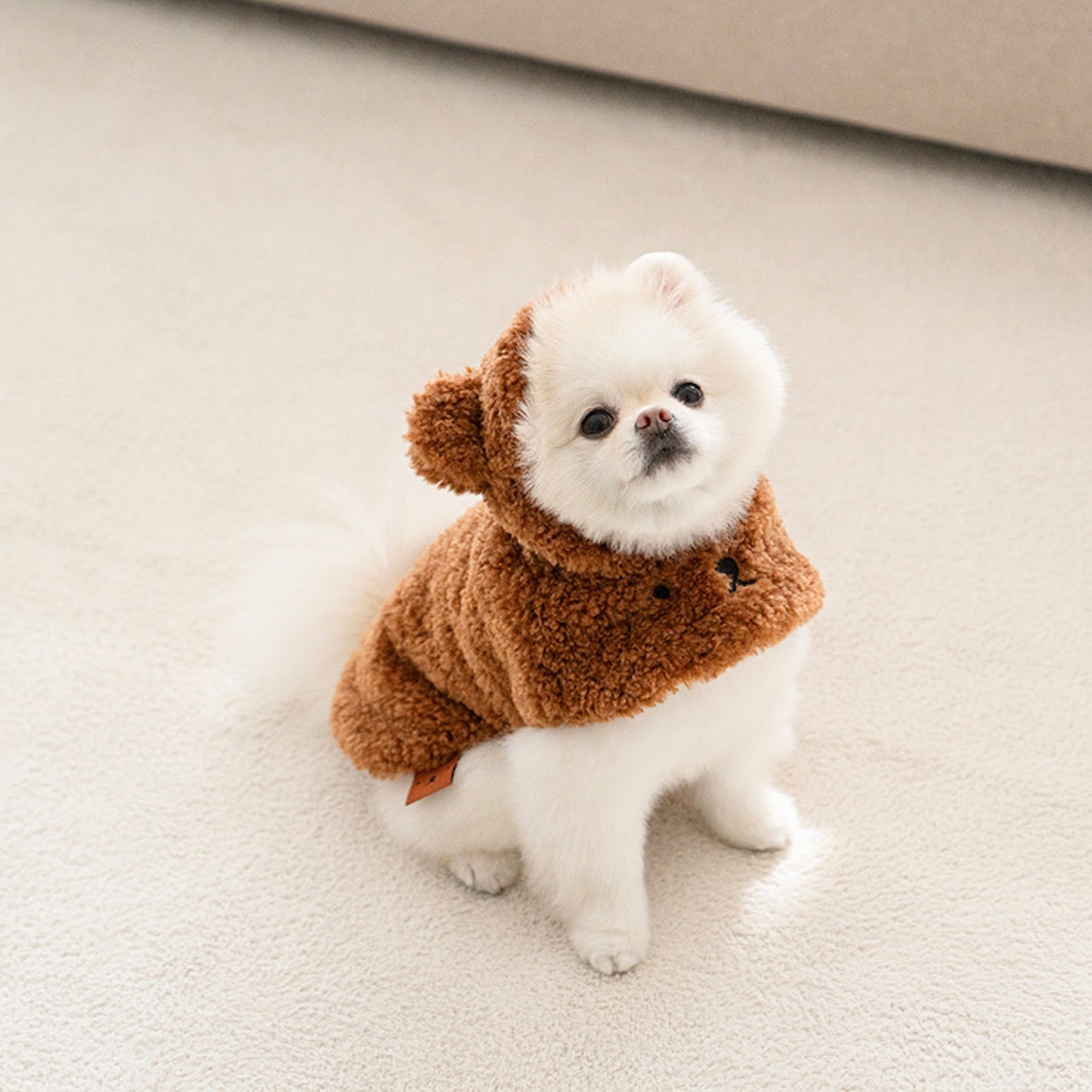 Neii様☆犬服☆ハンドメイド✩.*˚ 海外犬服 高品質なインポートのドッグウェア通販 