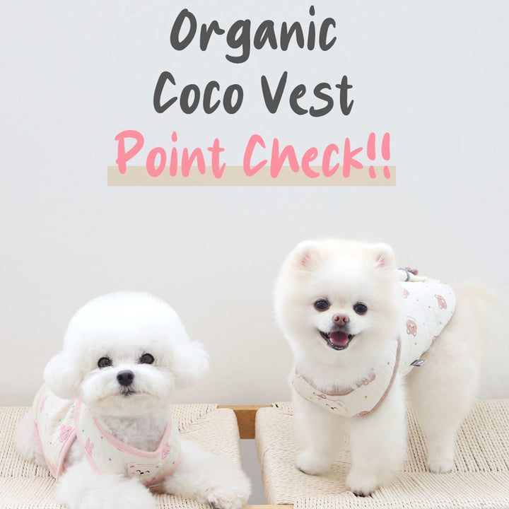 ※予約販売【ITS DOG】Organic Coco Vesy Point cneck