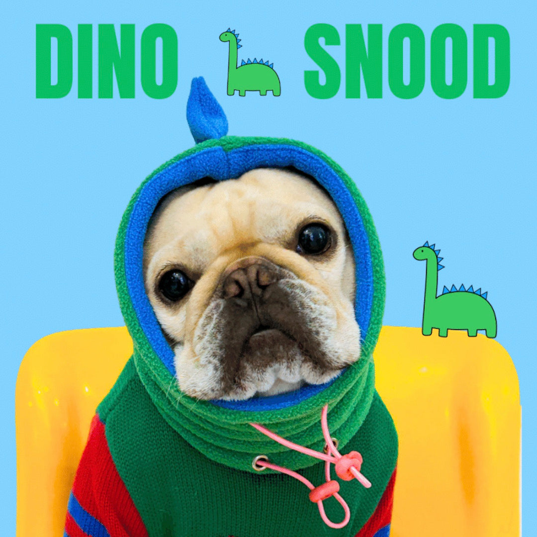 ※予約販売【TOOF】DINO SNOOD（GREEN/BLUE）
