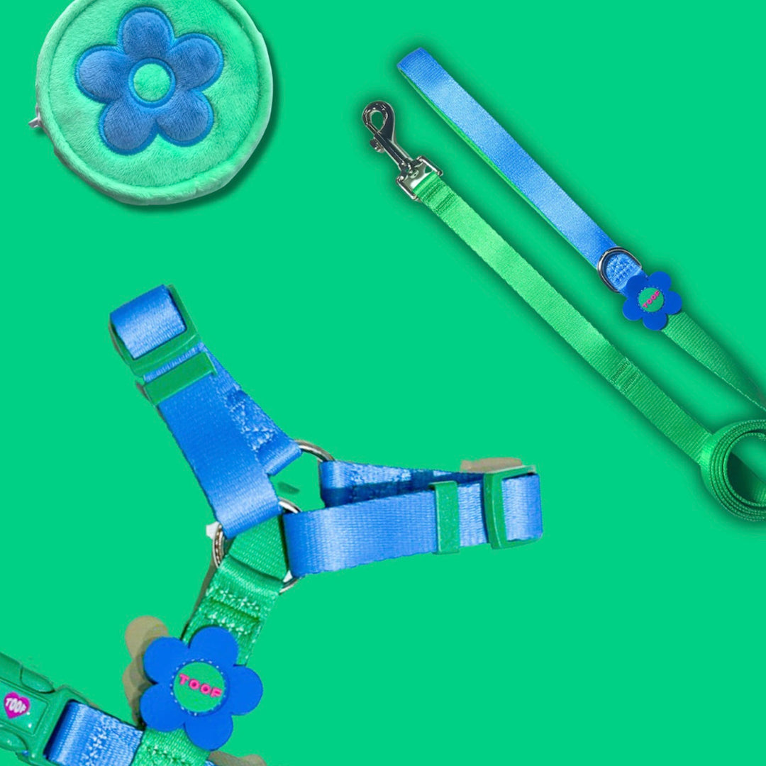 ※予約販売【TOOF】Flower Logo Leash（GREEN/BLUE）