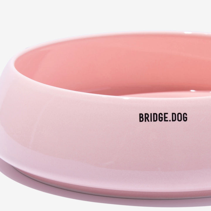 ※予約販売【BRIDGE.DOG】BRIDGE BIG LADDER（PINK）艶あり