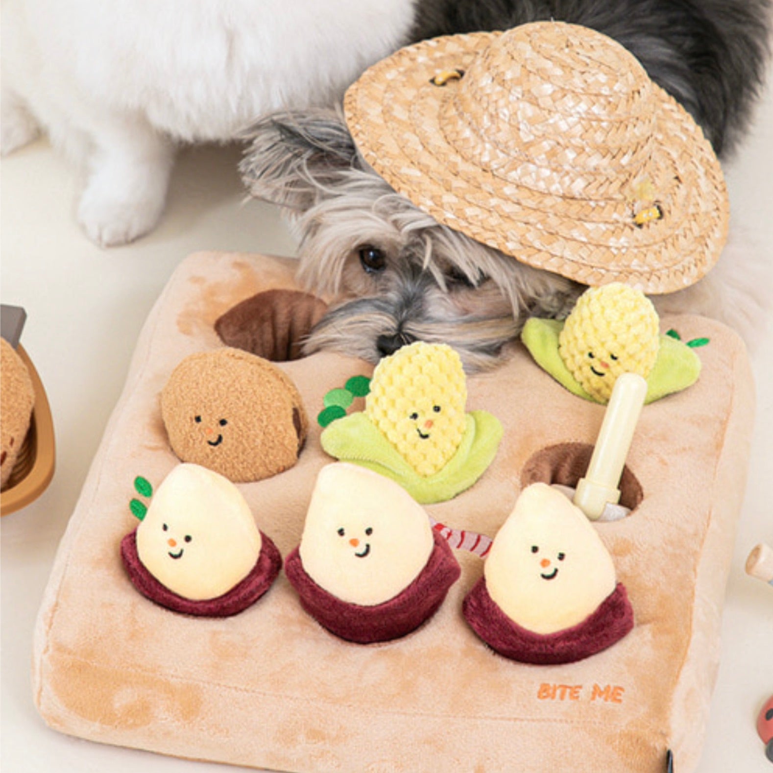 NEIGHBORHOOD DOG FISH TOY 未使用 ネイバーフッド 犬用