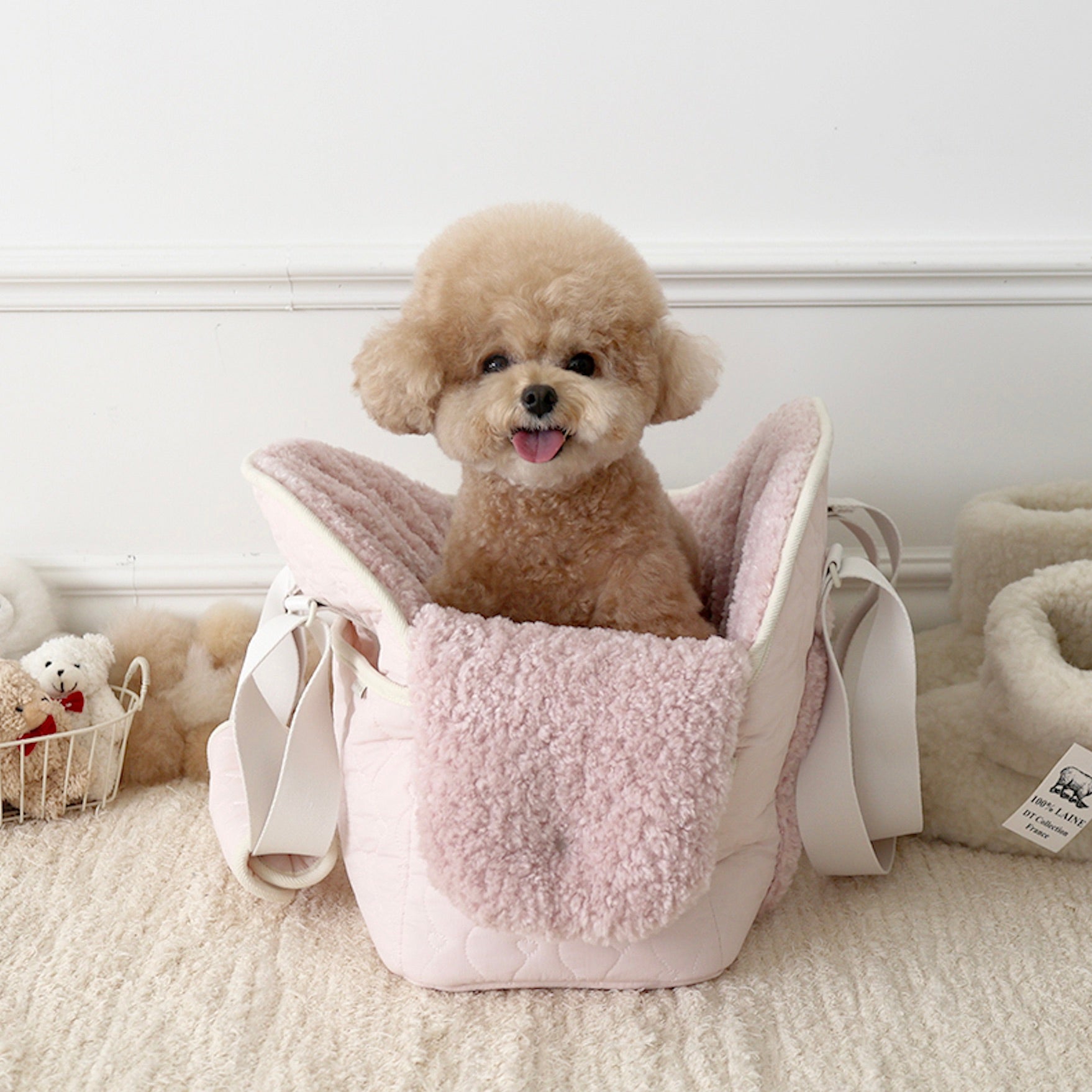 海外犬服 高品質なインポートのドッグウェア通販 